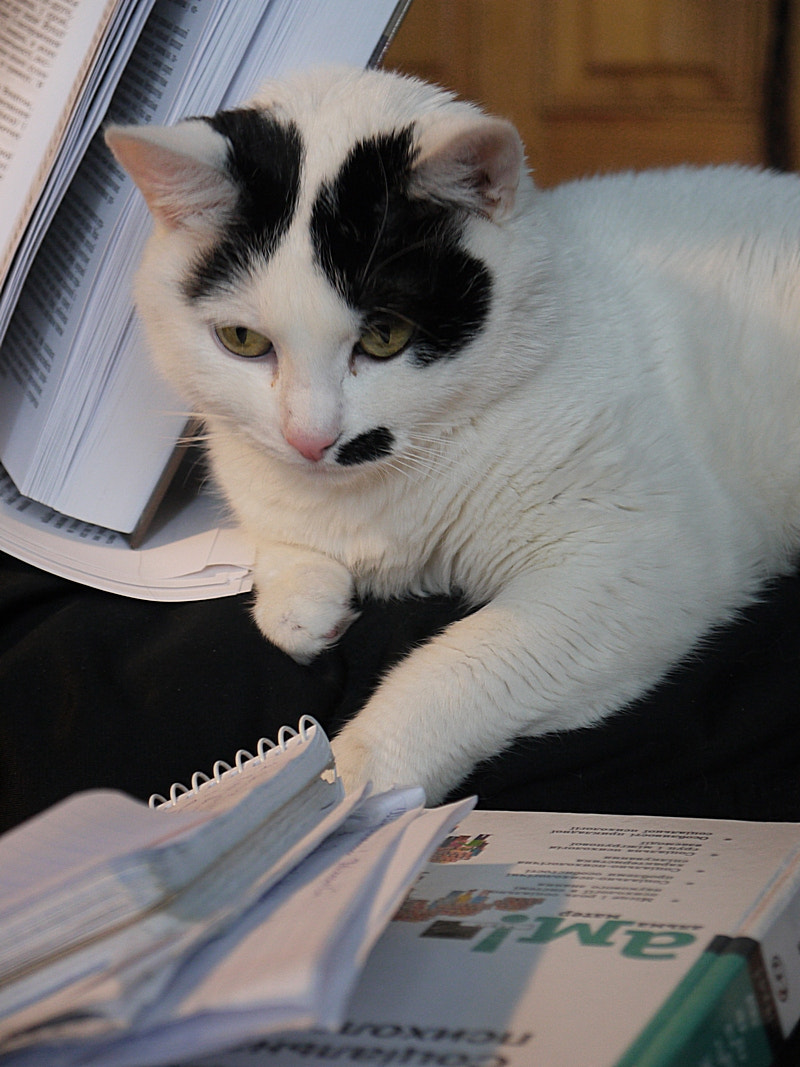 Panasonic Lumix DMC-G10 sample photo. Student photography