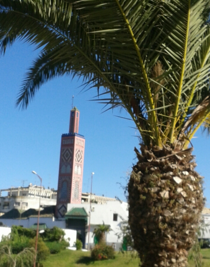 Samsung Galaxy S DUOS sample photo. Mosqué photography