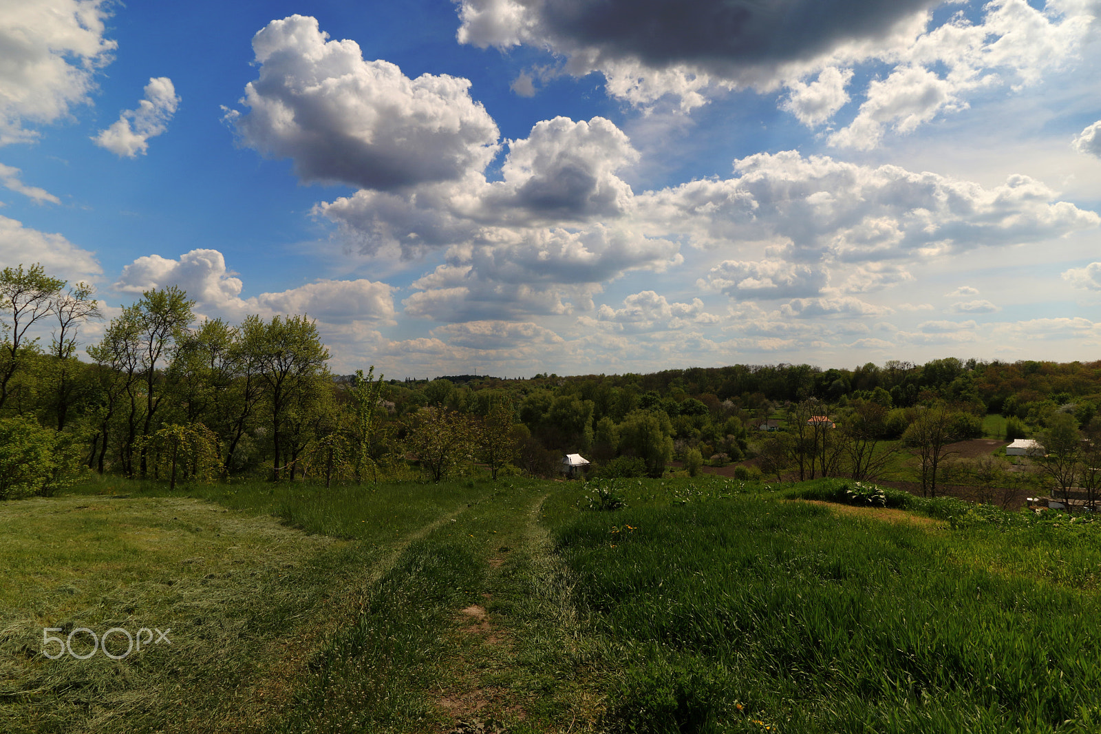 Canon EF-S 10-18mm F4.5–5.6 IS STM sample photo. Shevchenko homeland** photography