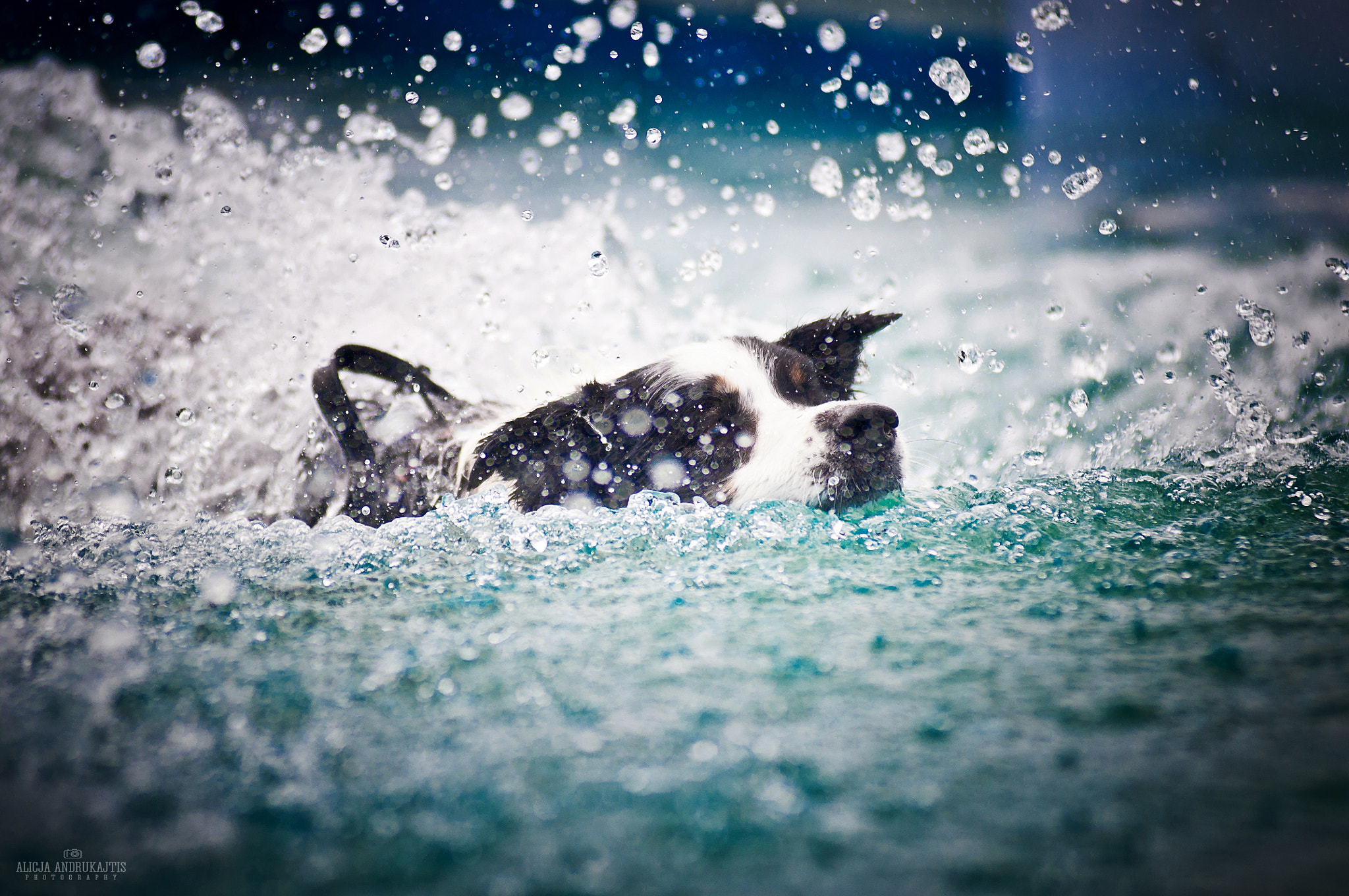 AF Zoom-Nikkor 80-200mm f/2.8 ED sample photo. Power! photography