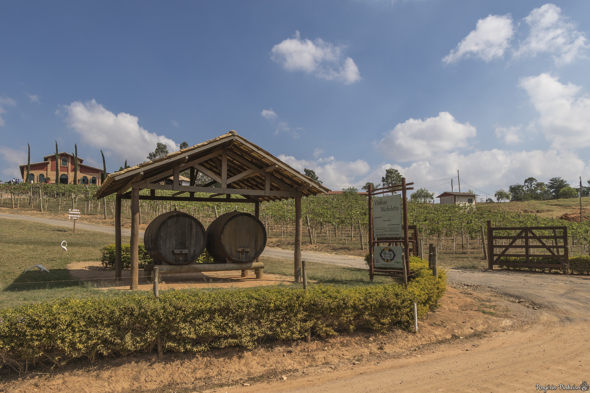 Canon EF-S 18-135mm F3.5-5.6 IS STM sample photo. Vinicola micheletto photography