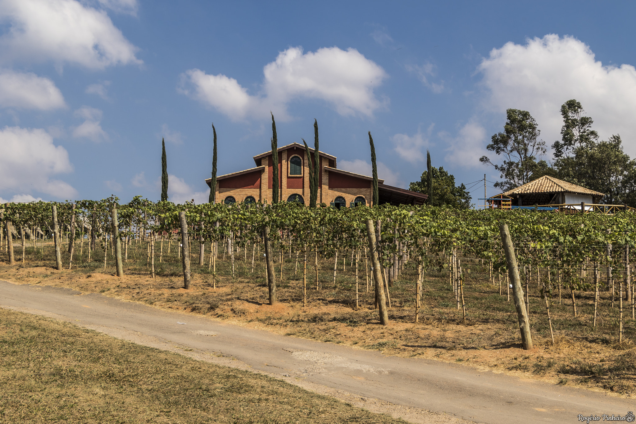 Canon EF-S 18-135mm F3.5-5.6 IS STM sample photo. Vinicola photography
