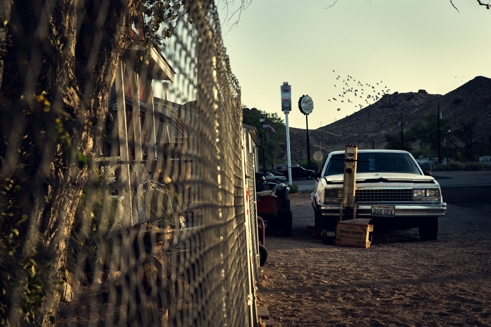 Sony a7S sample photo. Only birds photography