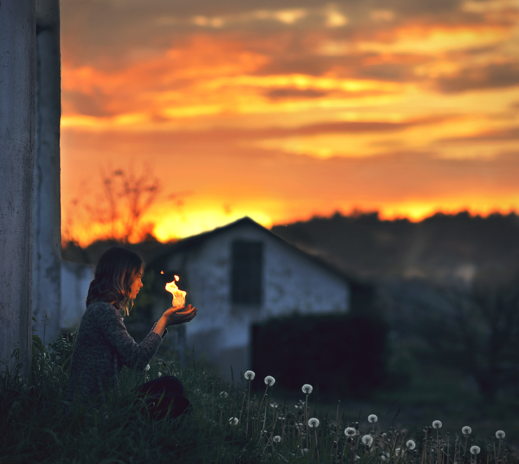 Nikon D90 + Sigma 85mm F1.4 EX DG HSM sample photo. Calcifer photography