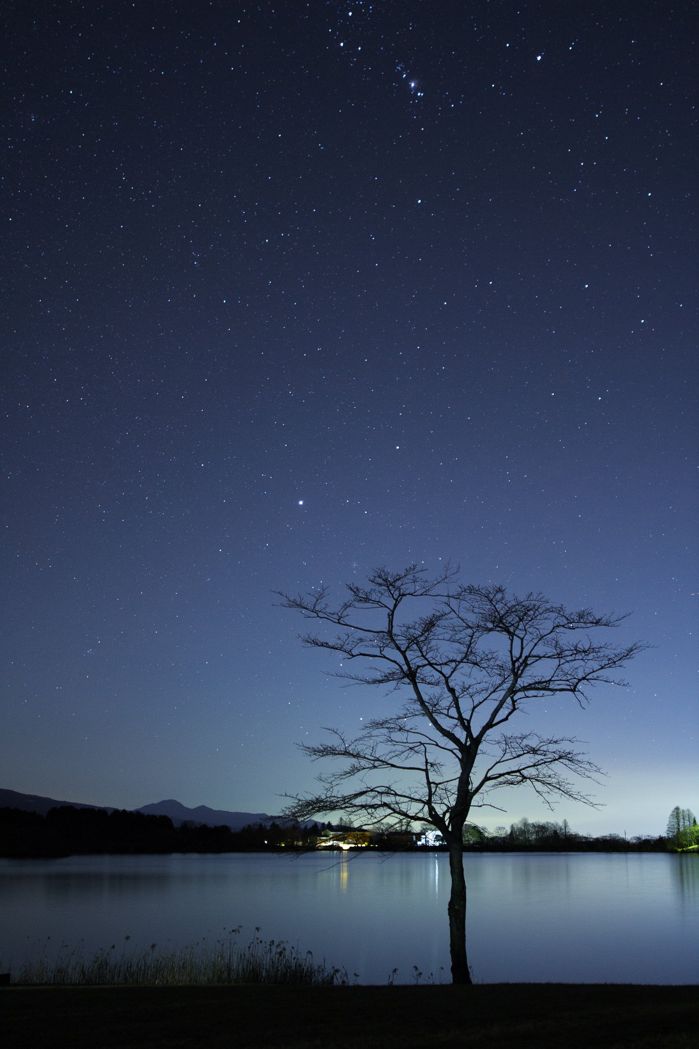 Sigma 24mm F1.4 DG HSM Art sample photo. All alone in the dark photography