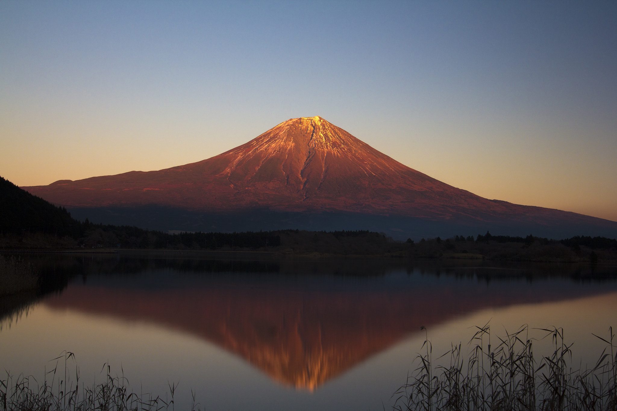 Sigma 24mm F1.4 DG HSM Art sample photo. Big red photography