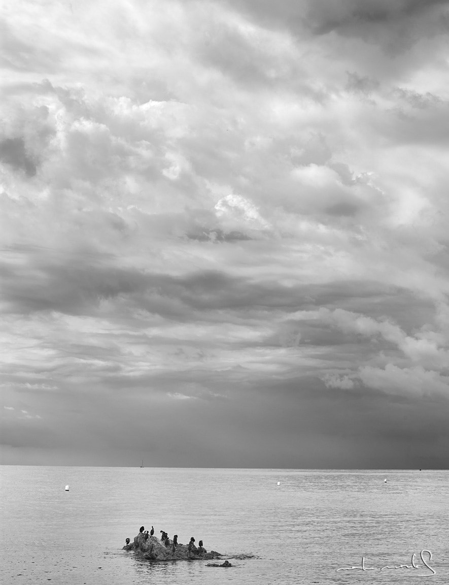 Canon EOS-1Ds Mark III + Canon EF 50mm F1.8 II sample photo. Grupo de cormoranes frente a la playa de blanes, catalunya. photography