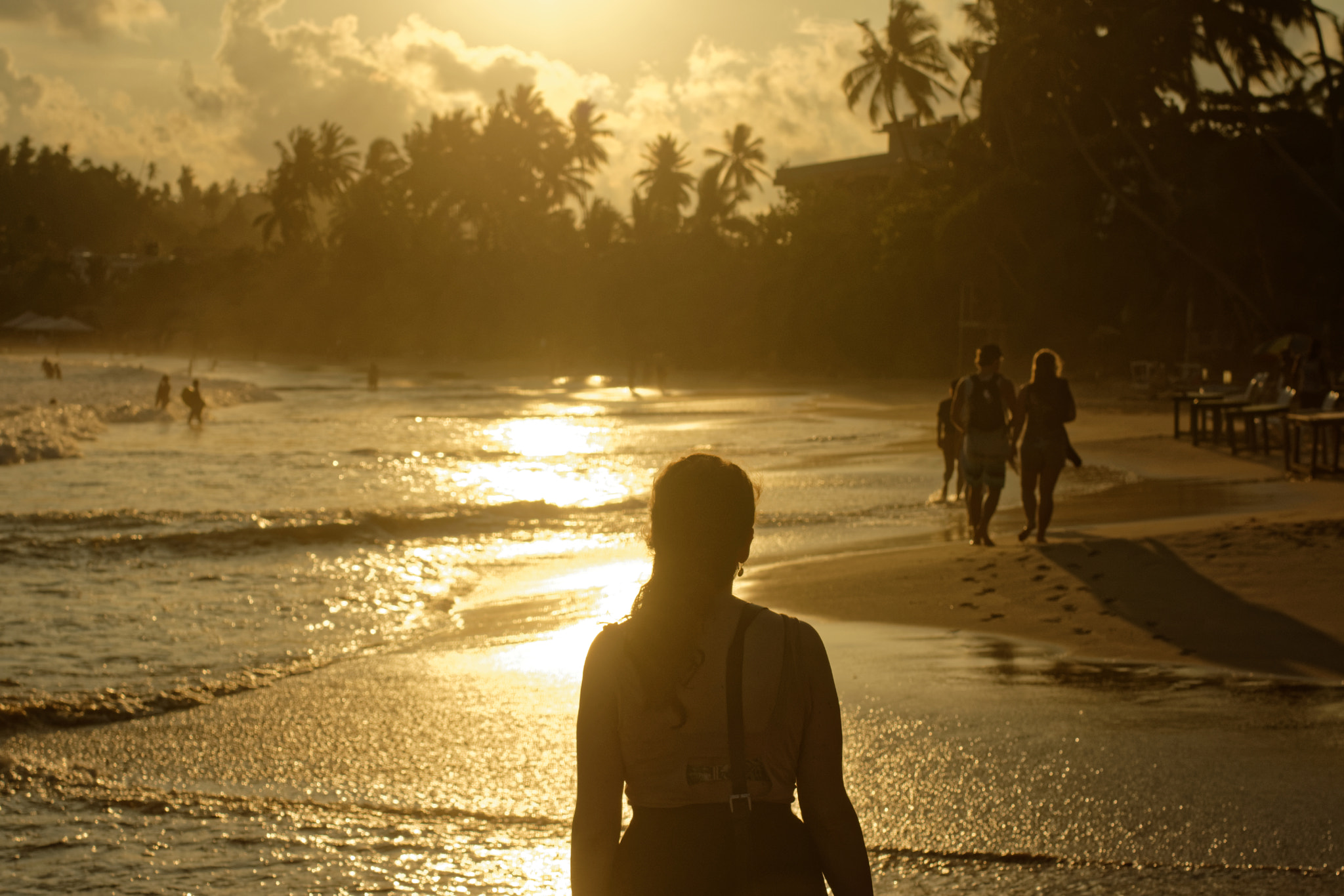 Manual Lens No CPU sample photo. Looking into the sun photography
