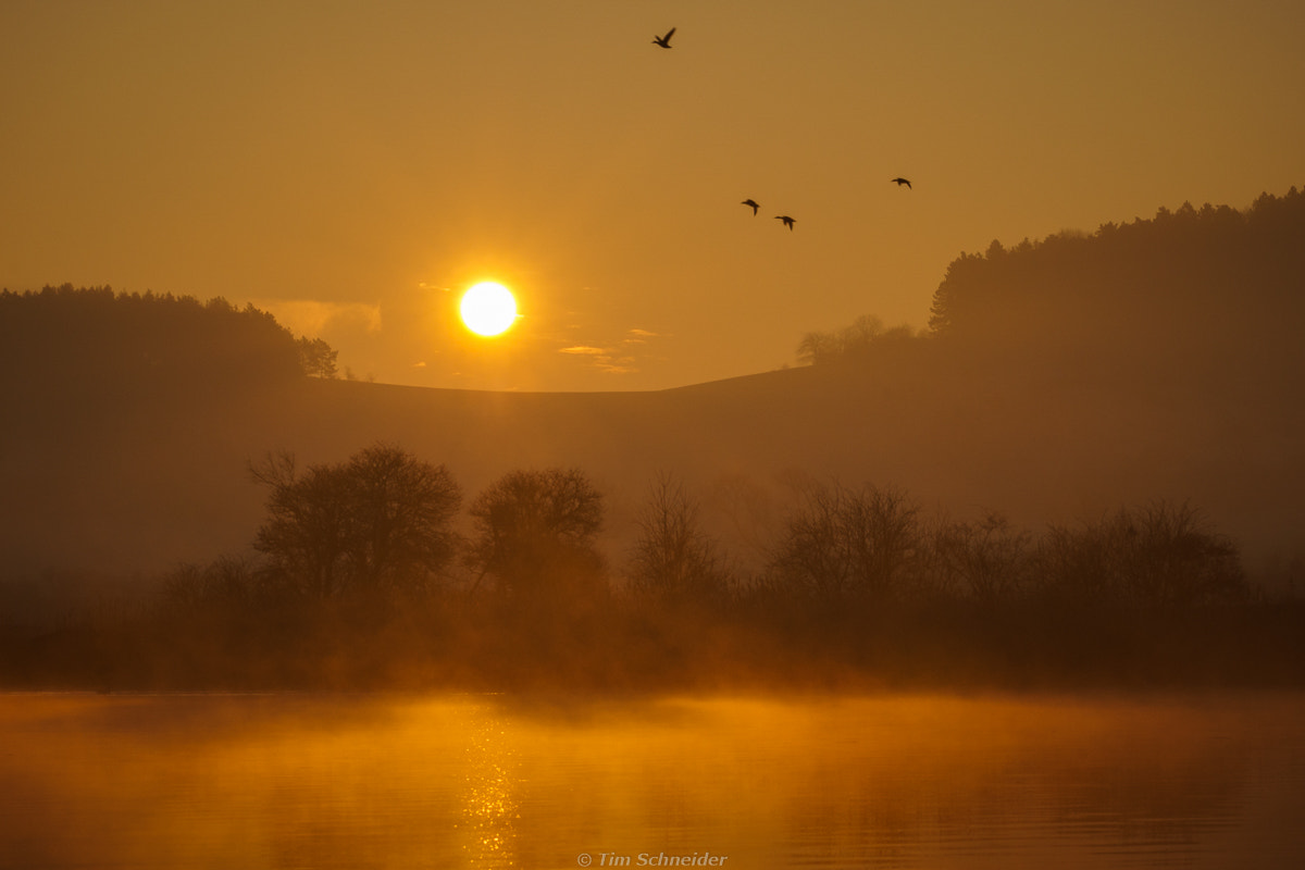 Sony ILCA-77M2 + 90mm F2.8 Macro SSM sample photo. Morning glow photography