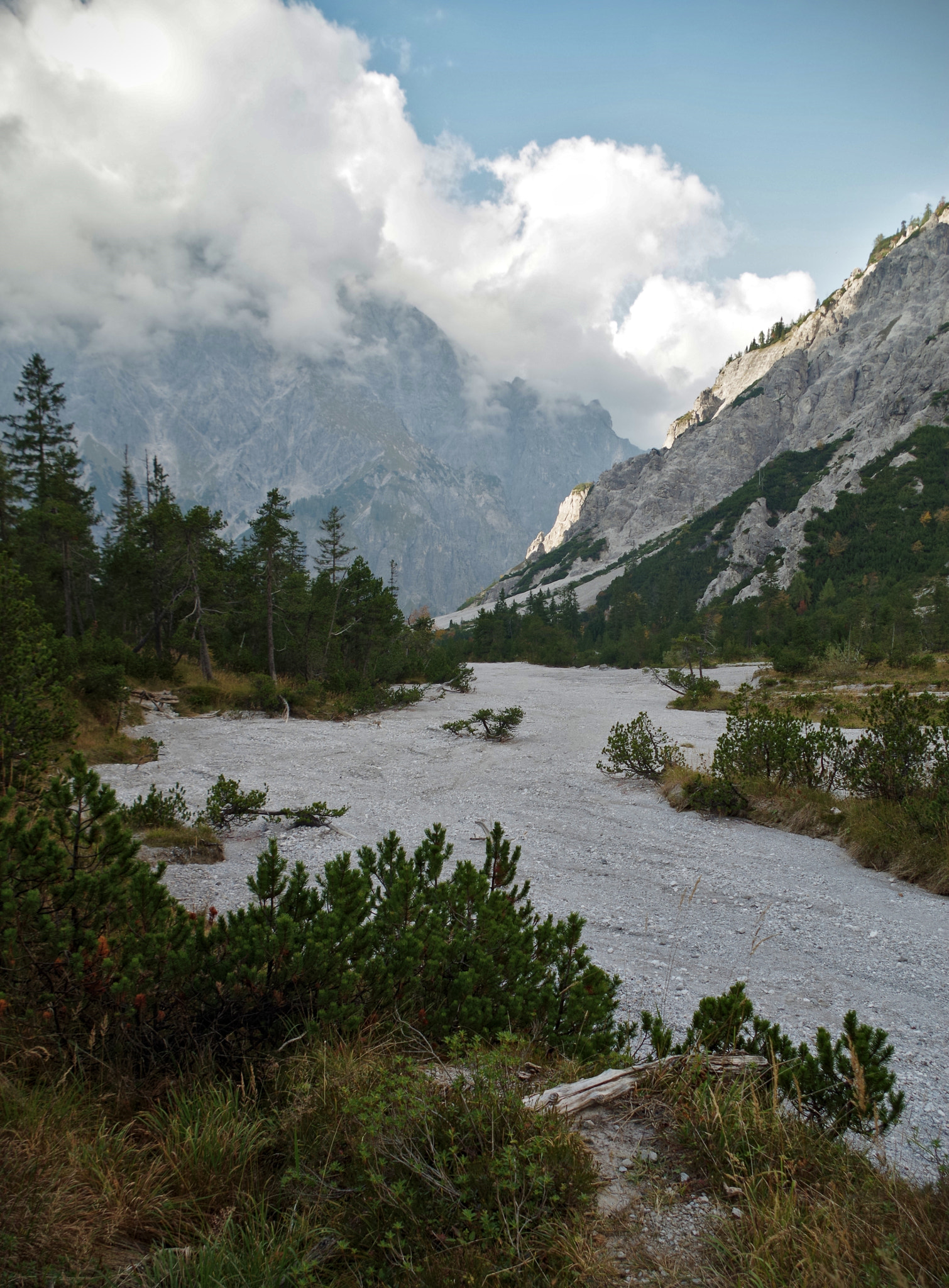 Pentax smc DA 18-55mm F3.5-5.6 AL sample photo. Debris and forests i photography