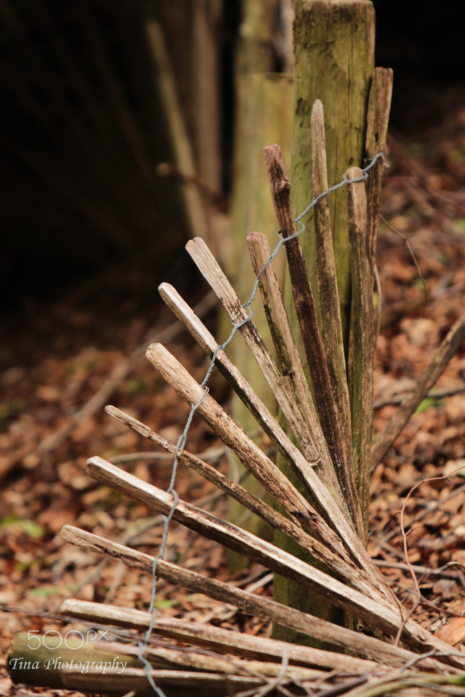 Canon EF 22-55mm f/4-5.6 USM sample photo. Fence in colour photography