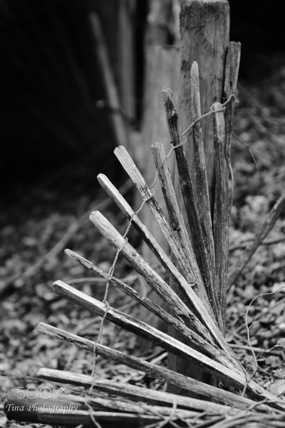 Canon EOS 70D + Canon EF 22-55mm f/4-5.6 USM sample photo. Fence b&w photography