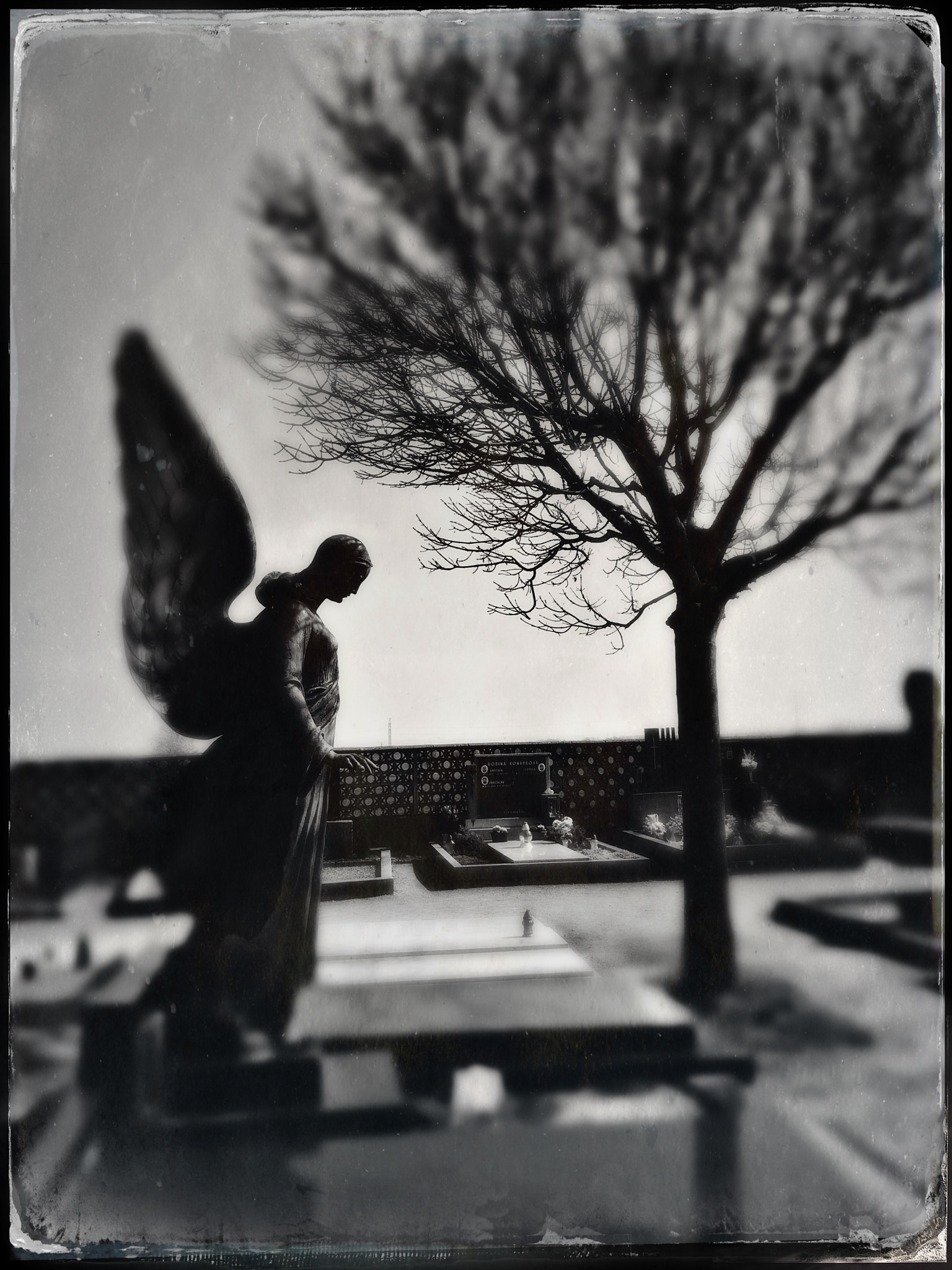 Hipstamatic 312 sample photo. Angel of death, iphone 6s photography