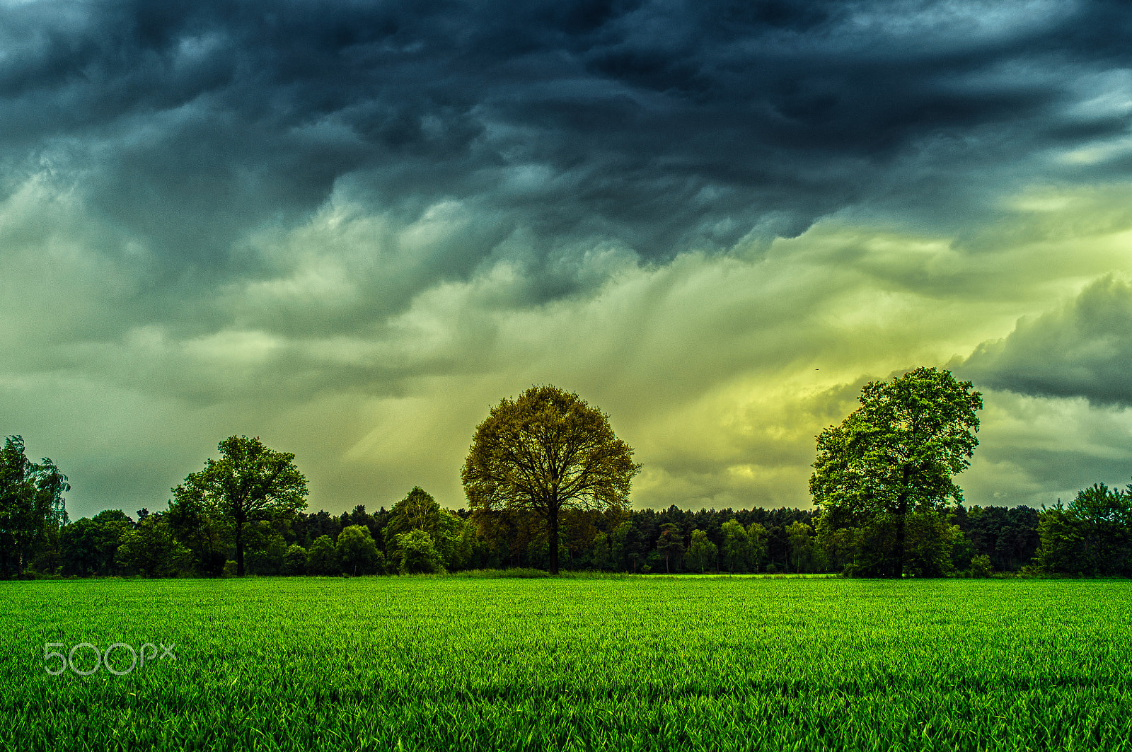 Nikon AF-S DX Micro Nikkor 40mm F2.8 sample photo. Before the storm photography