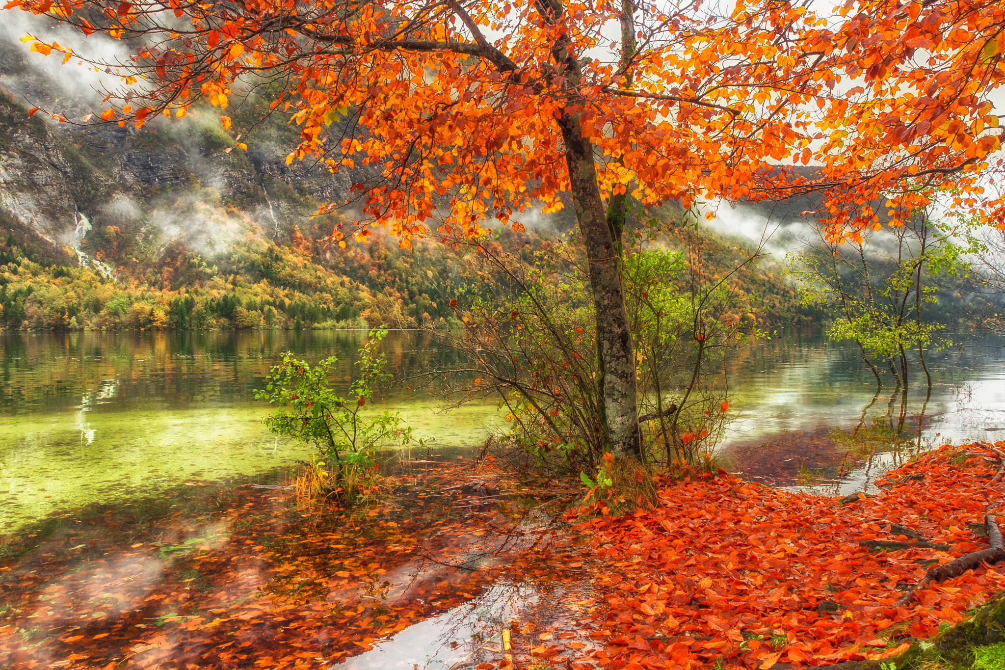 Olympus Zuiko Digital ED 12-60mm F2.8-4.0 SWD sample photo. The essence of autumn photography