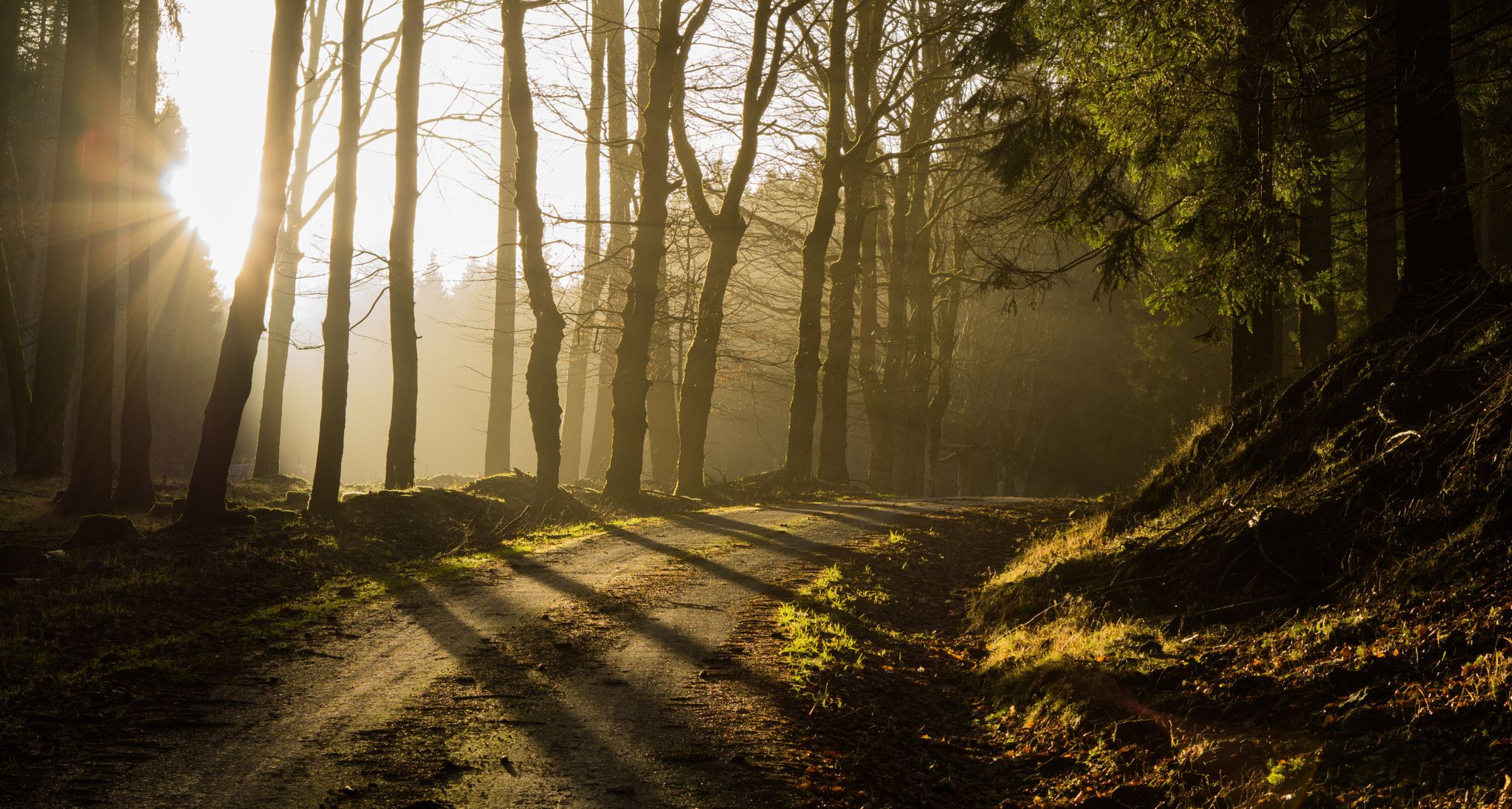 Sony a5100 + E 50mm F1.8 OSS sample photo. Thuringian forest photography