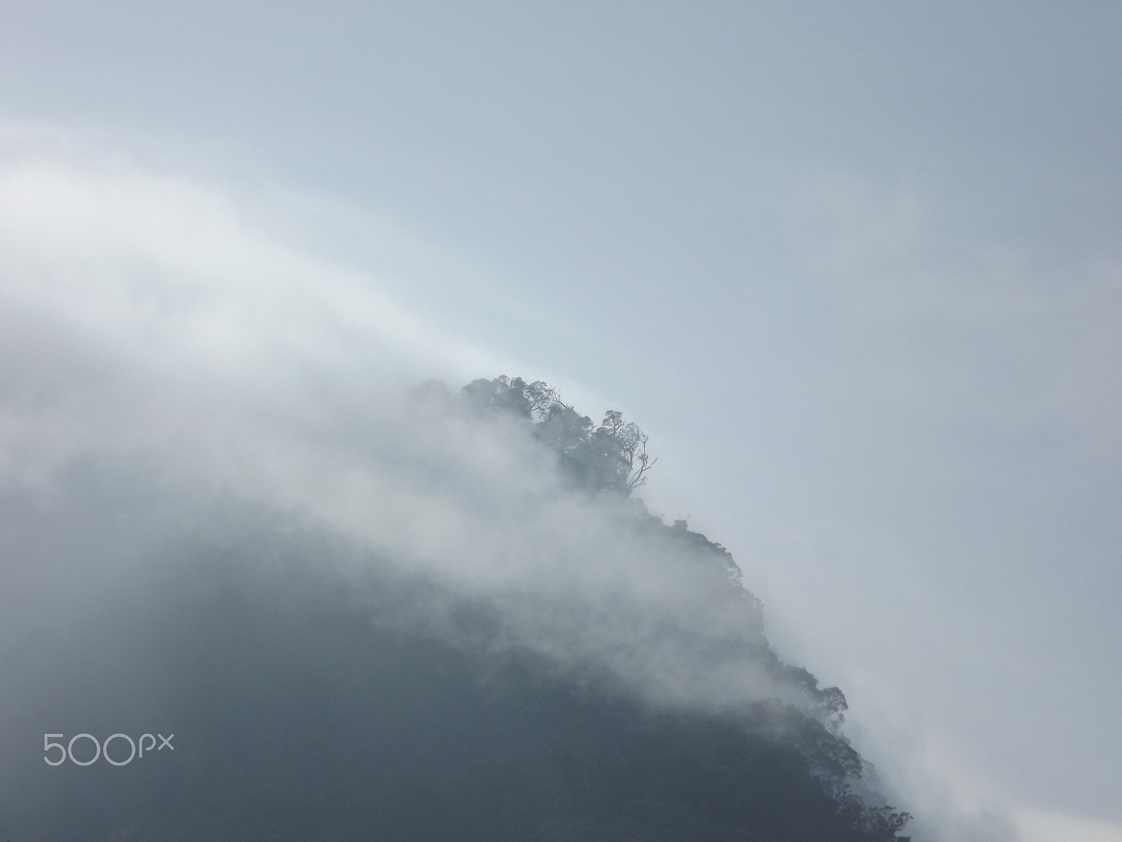 Fujifilm FinePix S3400 sample photo. Jungle hilltop, borneo photography