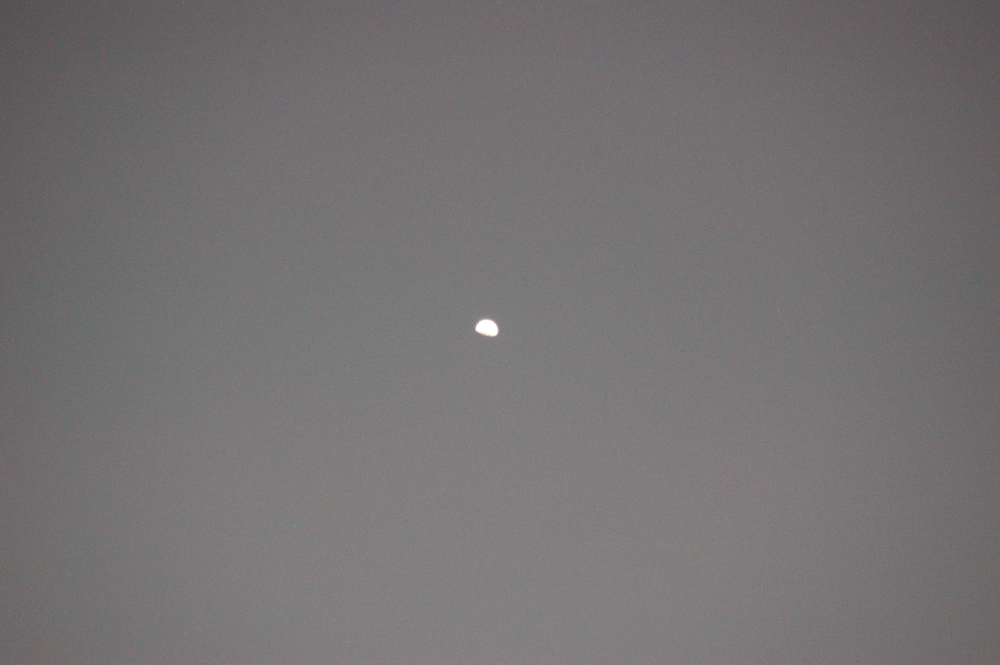 Sigma 28-90mm F3.5-5.6 Macro sample photo. Luna photography