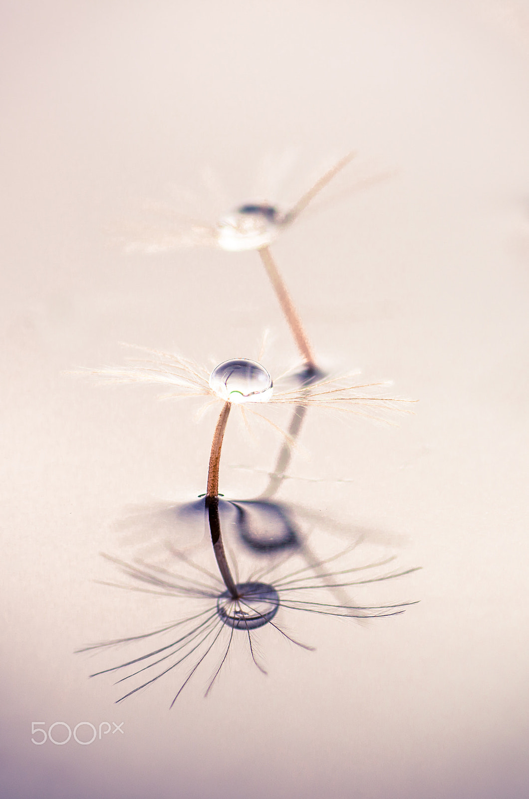 Tamron SP AF 90mm F2.8 Di Macro sample photo. Dancing with tears in my eyes photography