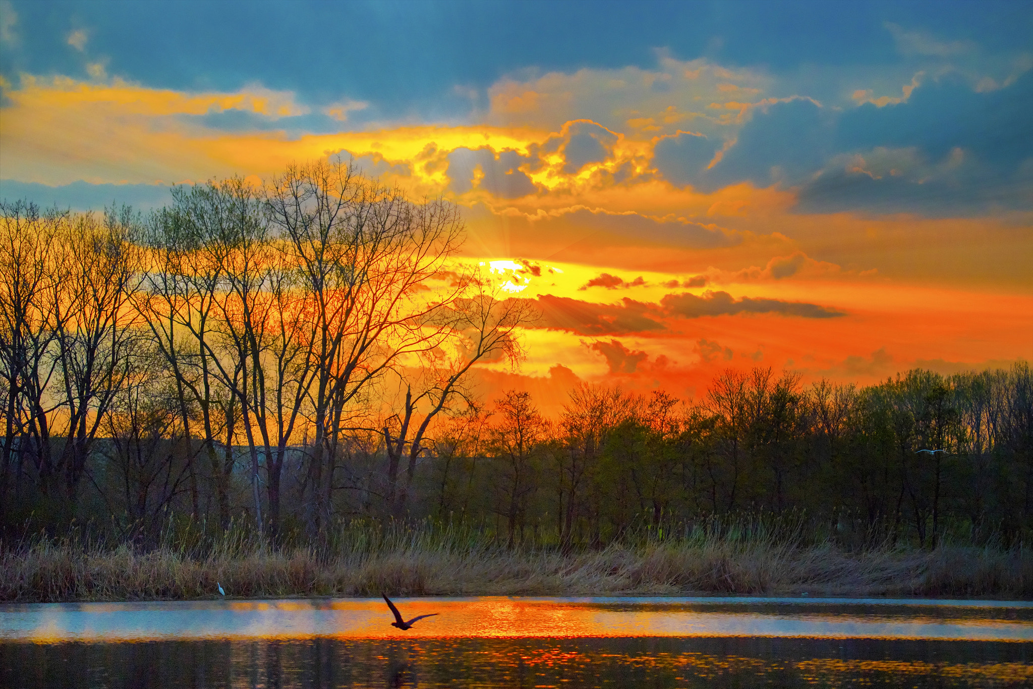Nikon D5 sample photo. Att campus sunset photography