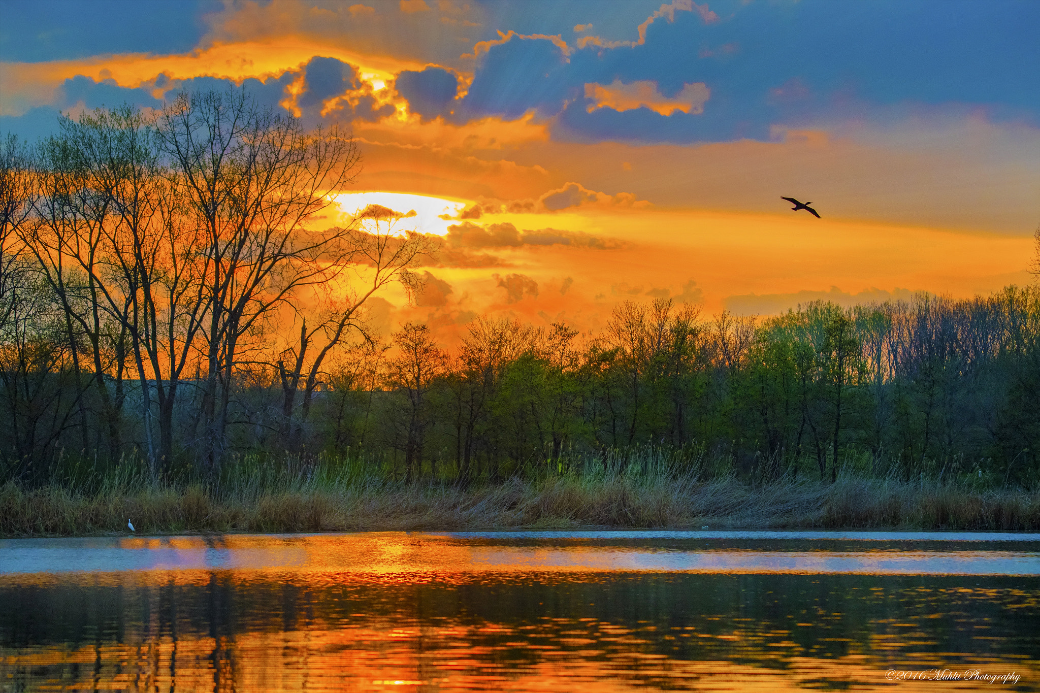 Nikon D5 sample photo. Att campus sunset photography