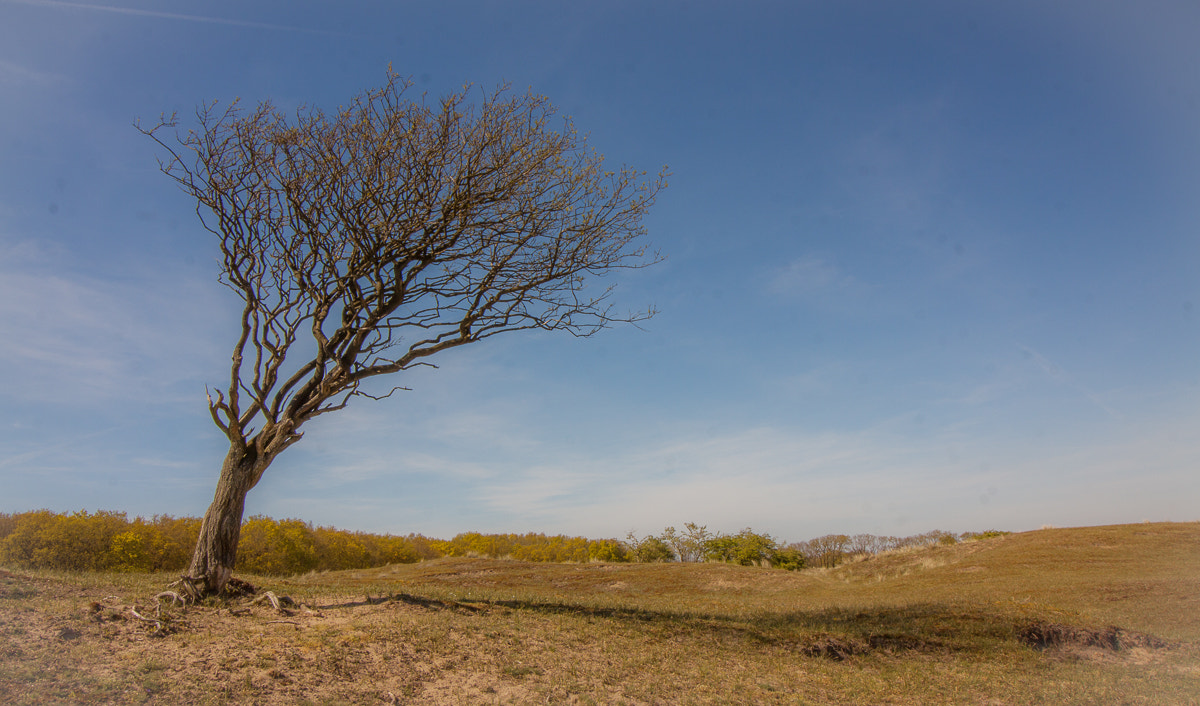 Canon EF-S 10-18mm F4.5–5.6 IS STM sample photo. The wind warrior and his shadow photography
