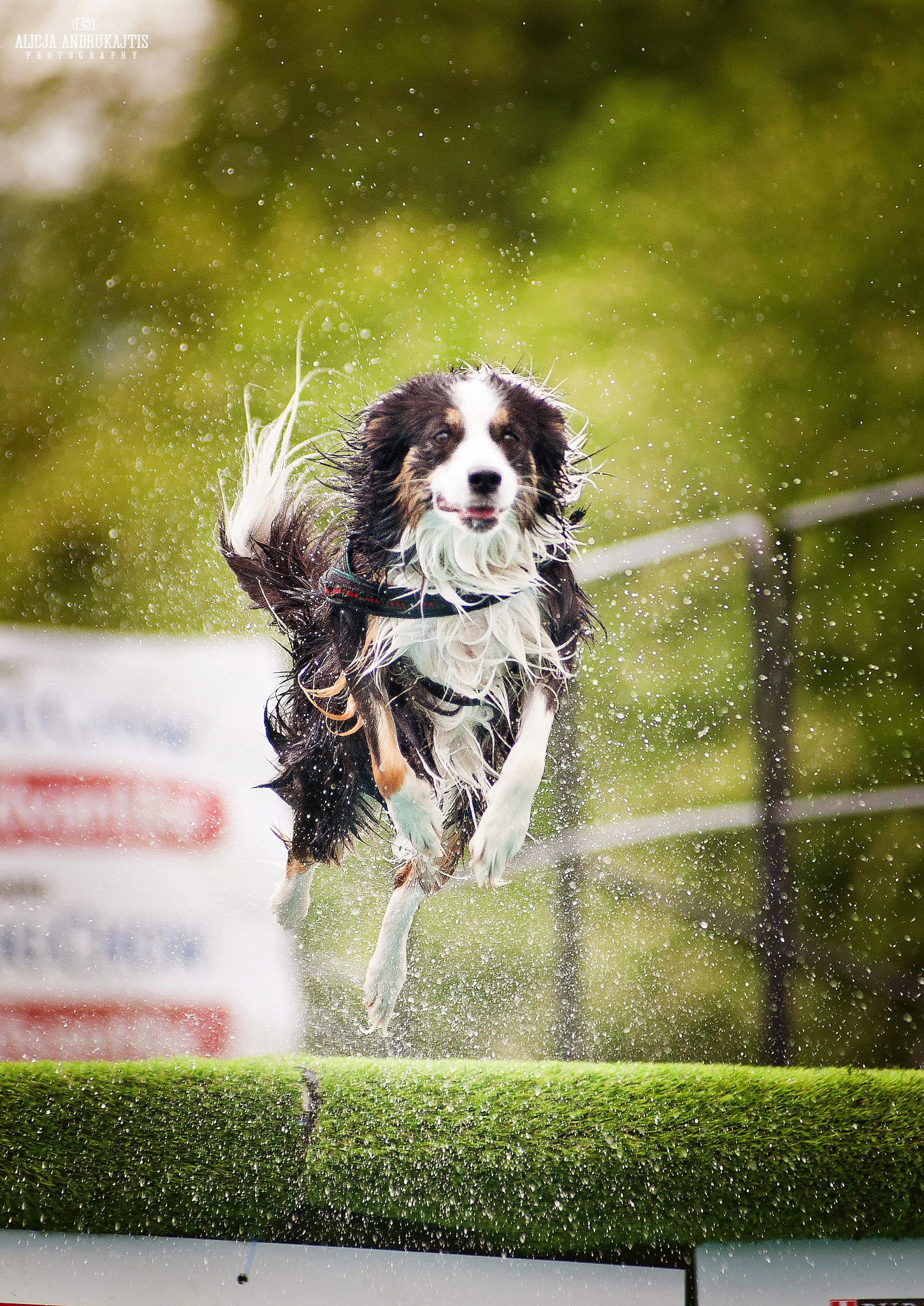 AF Zoom-Nikkor 80-200mm f/2.8 ED sample photo. Jump photography