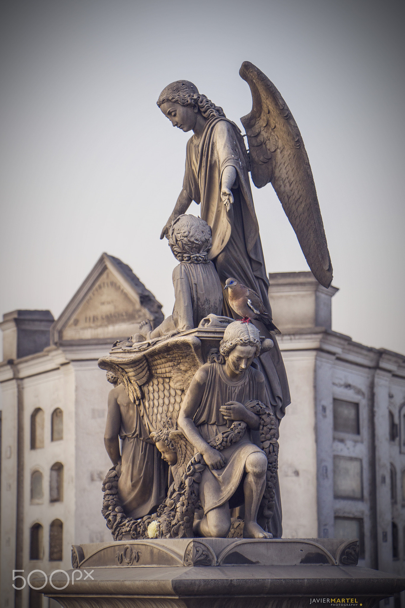 Canon EF-S 18-135mm F3.5-5.6 IS STM sample photo. Broken wings photography