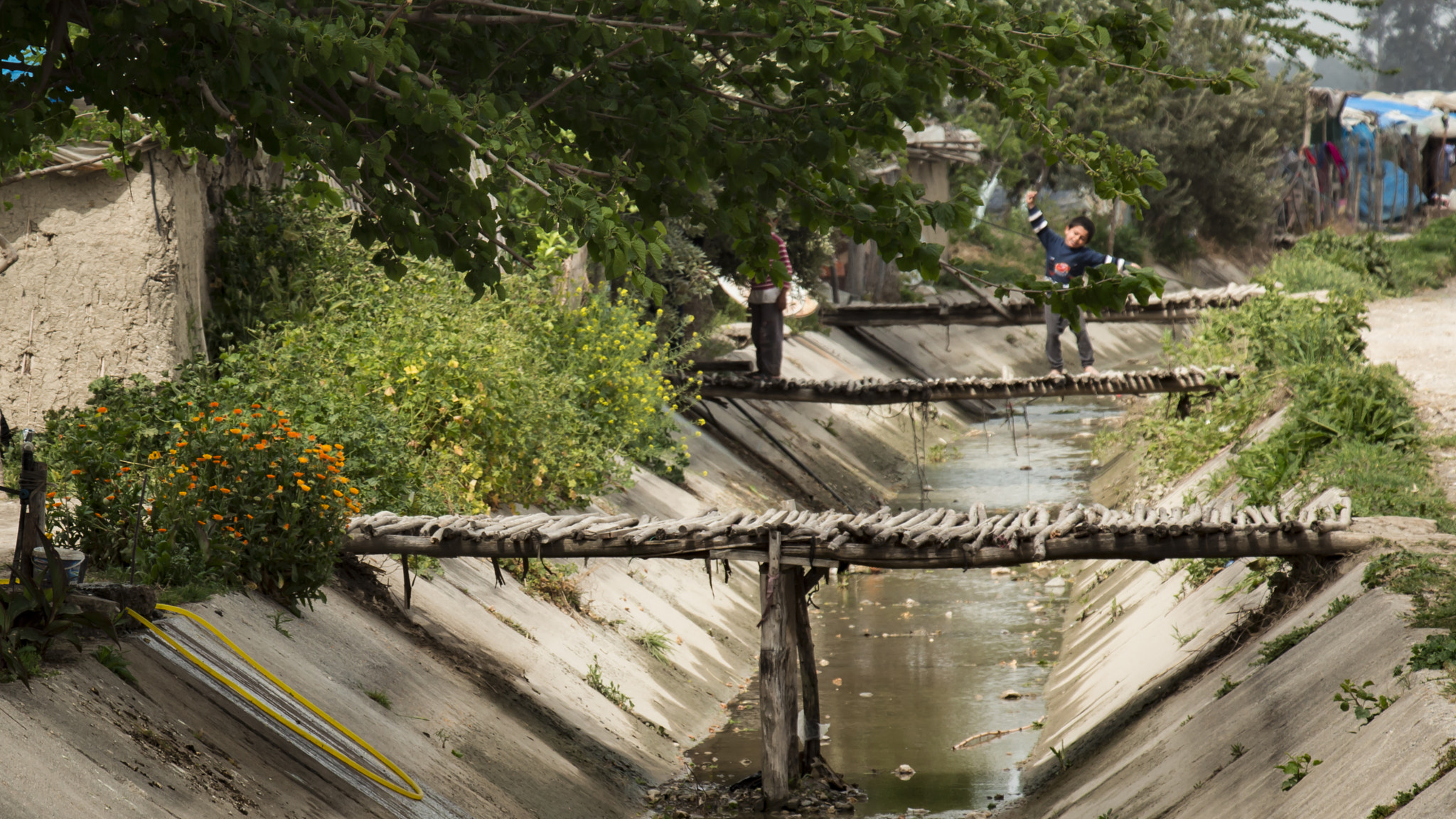 Canon EOS 650D (EOS Rebel T4i / EOS Kiss X6i) + Canon EF-S 18-135mm F3.5-5.6 IS STM sample photo. Child on the bridge photography