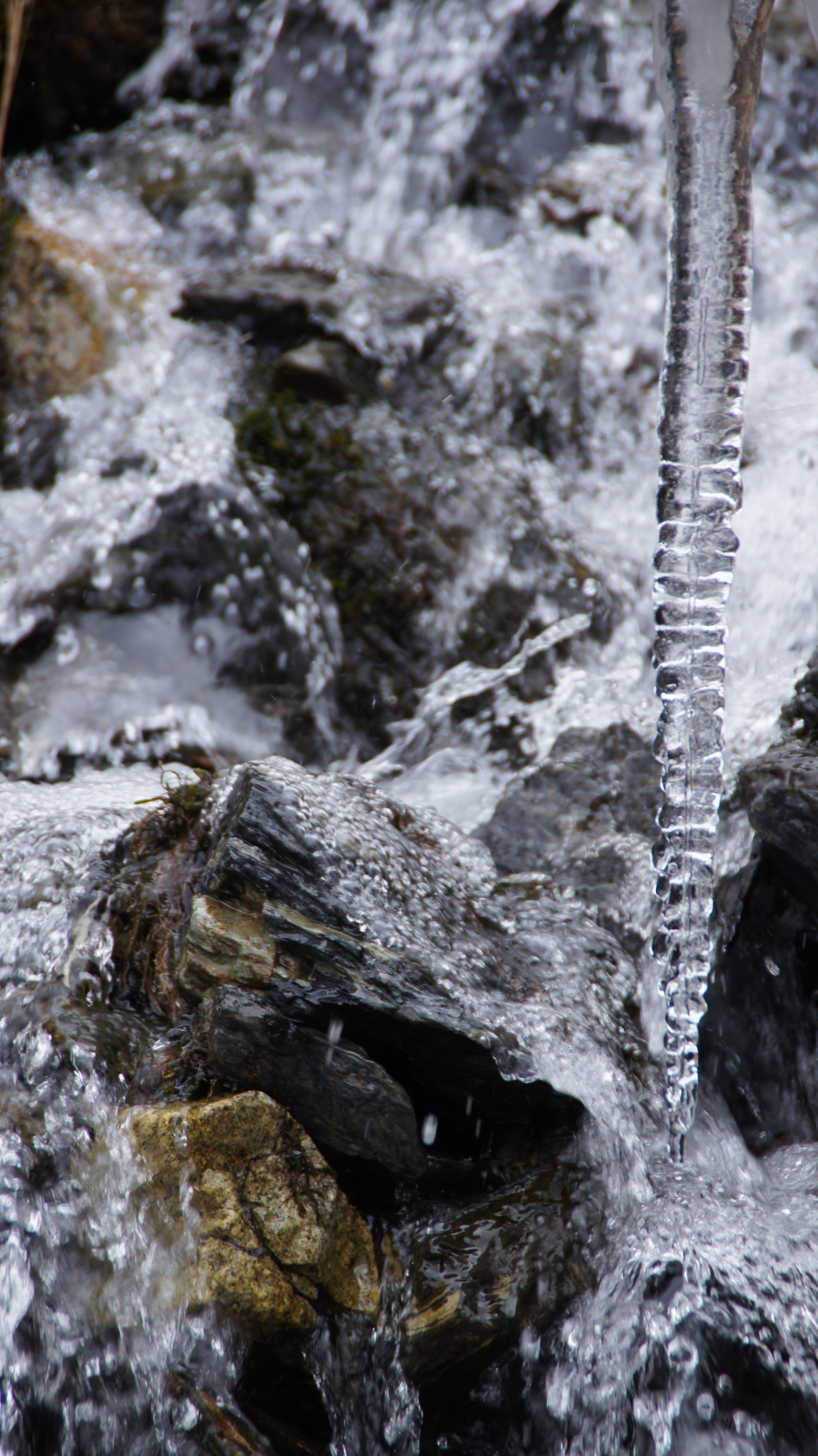 Sony SLT-A55 (SLT-A55V) sample photo. Ice photography
