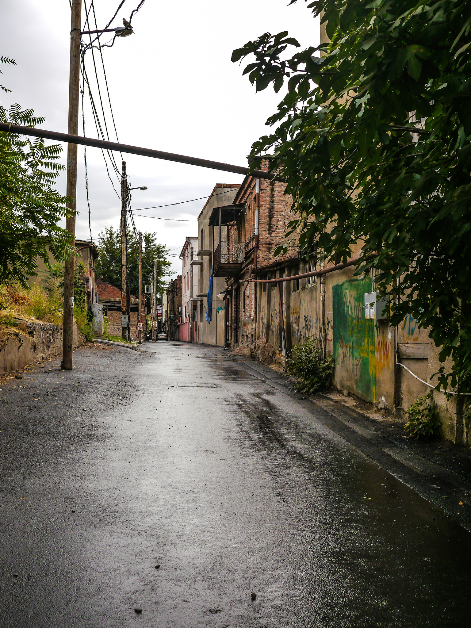 Panasonic Lumix DMC-G5 + Panasonic Lumix G 20mm F1.7 ASPH sample photo. After rain photography