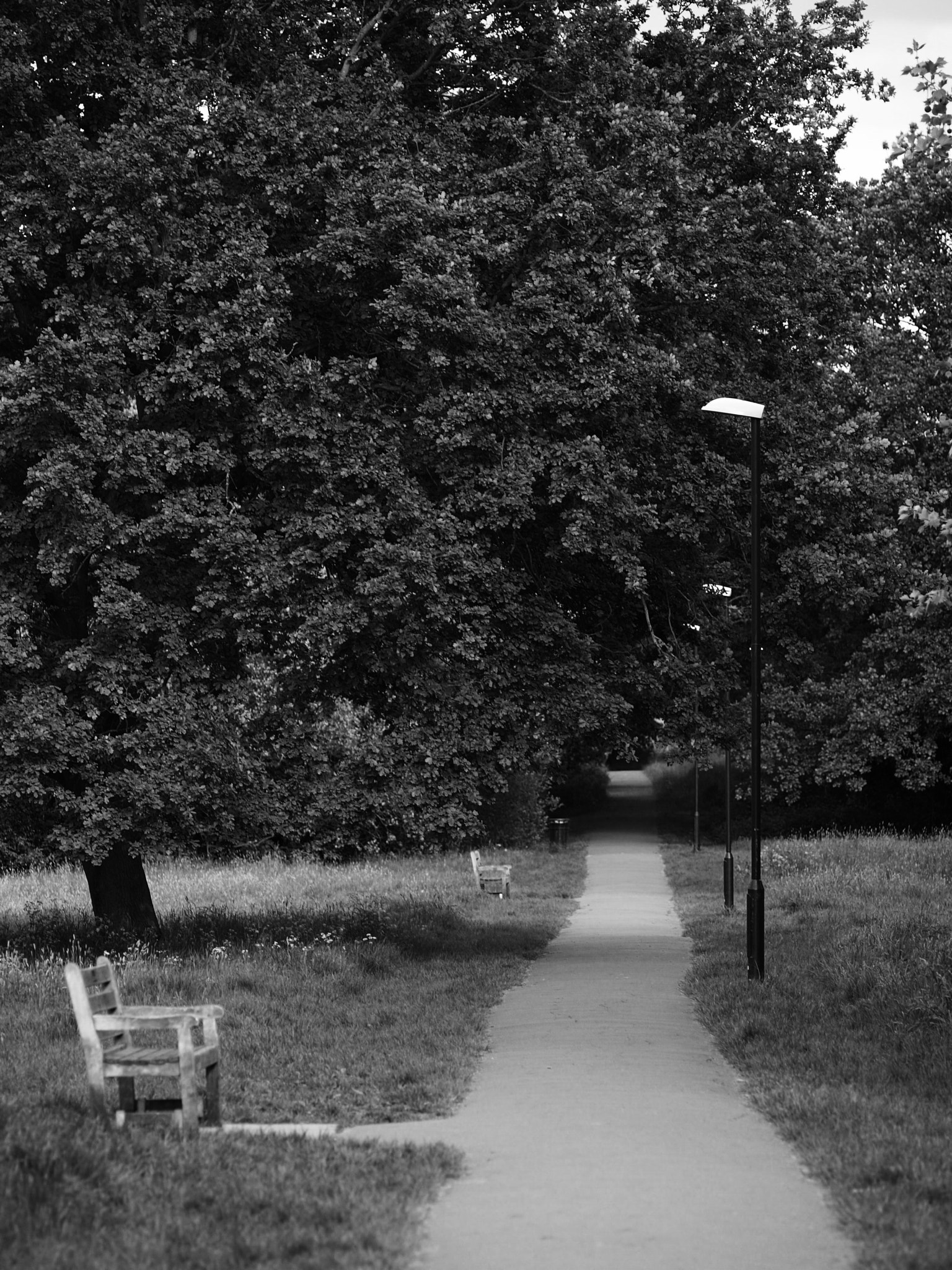 Olympus E-3 sample photo. Void photography