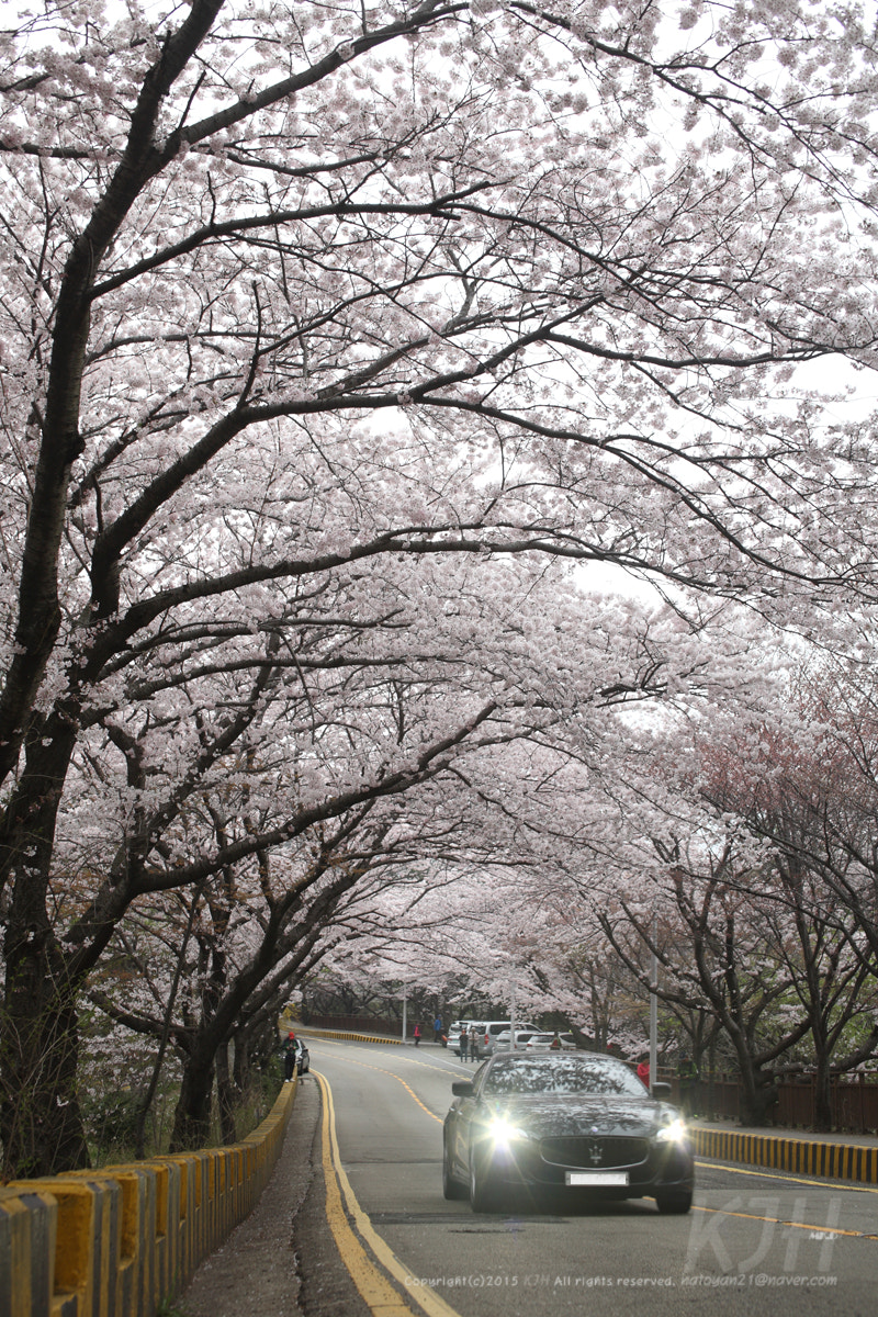 Canon EF 28-70mm f/3.5-4.5 sample photo. Journey photography
