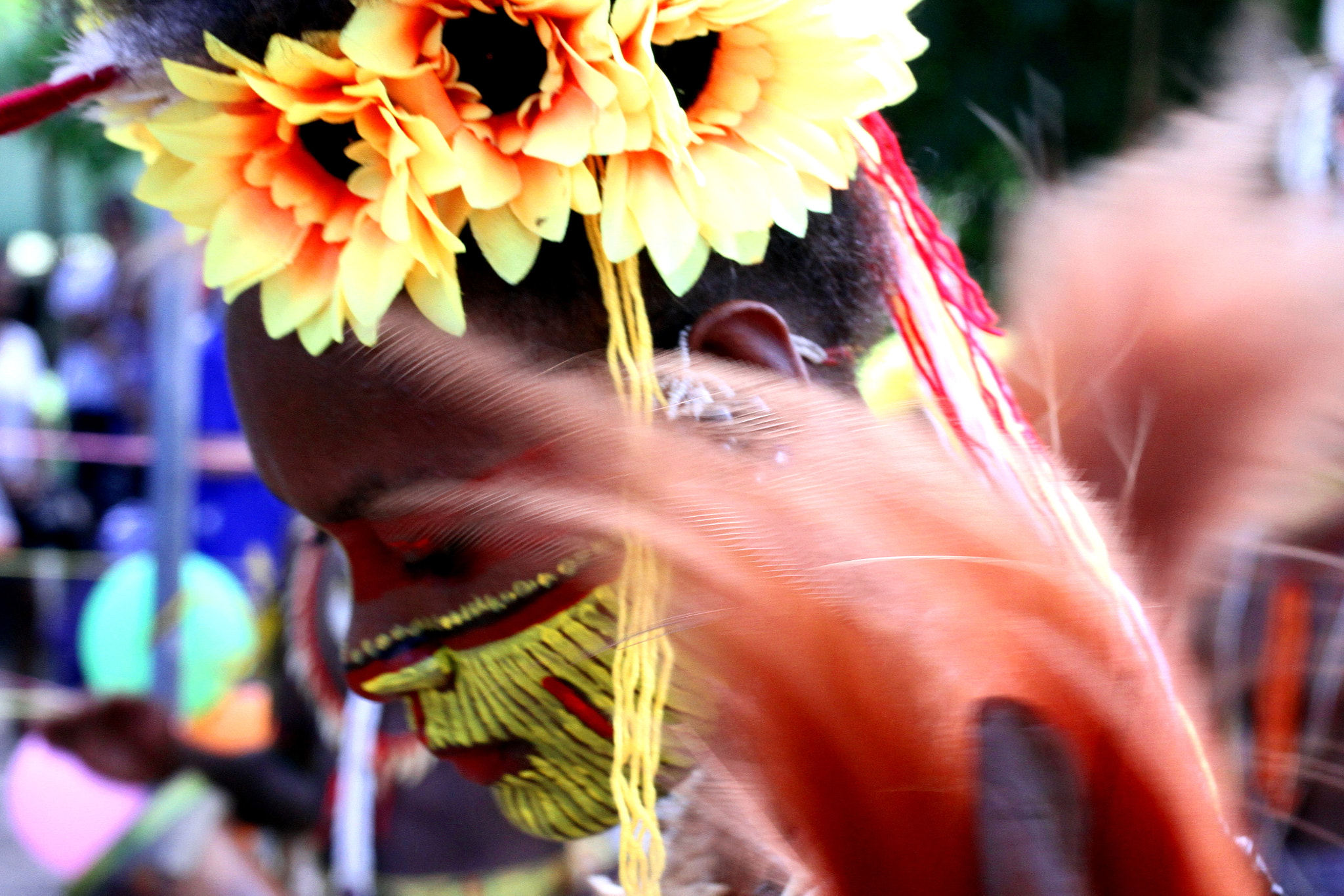 Canon EF-S 60mm F2.8 Macro USM sample photo. Central province - kairuku photography