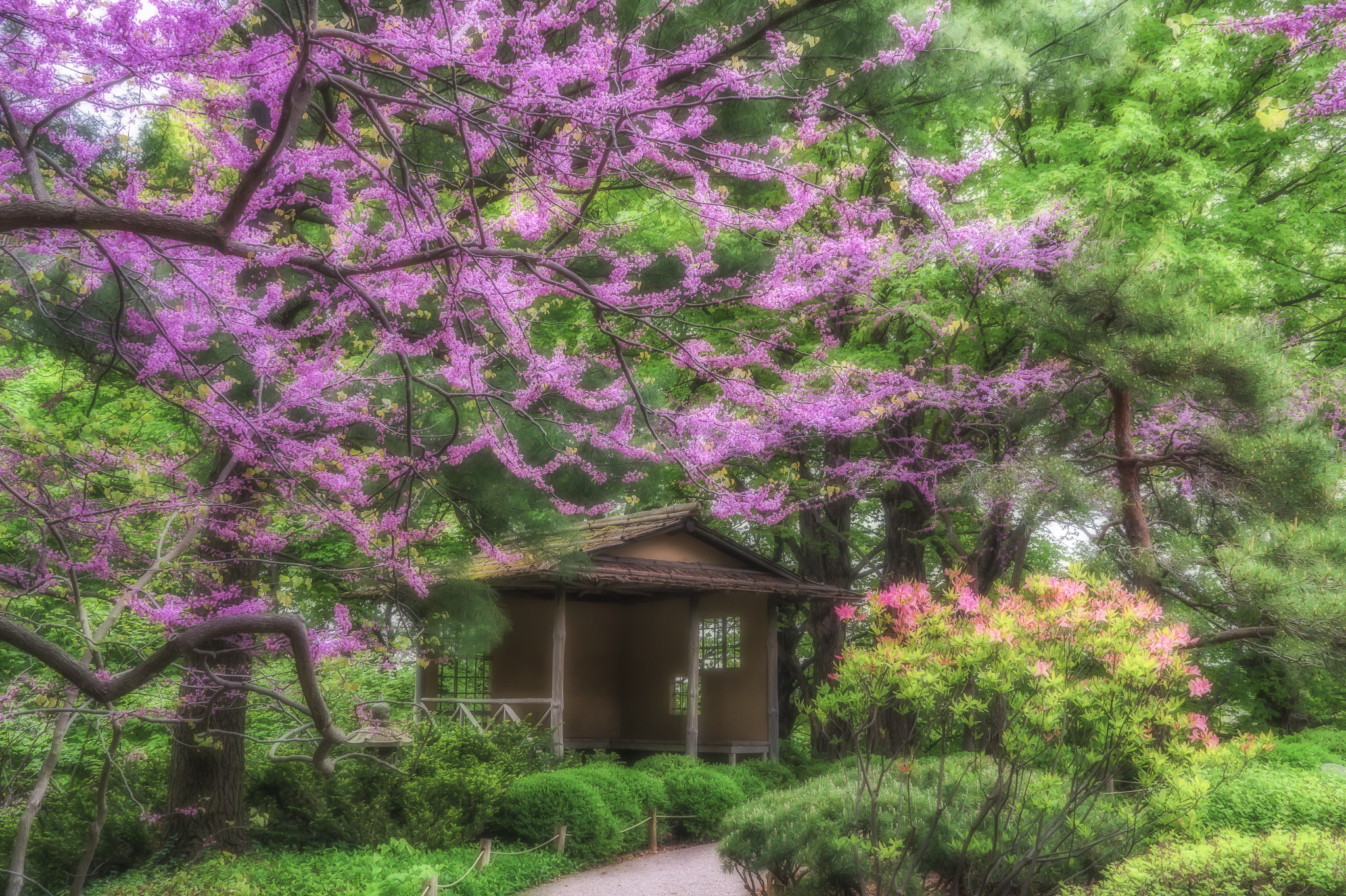 Sony DT 18-200mm F3.5-6.3 sample photo. Spring teahouse, minnesota photography