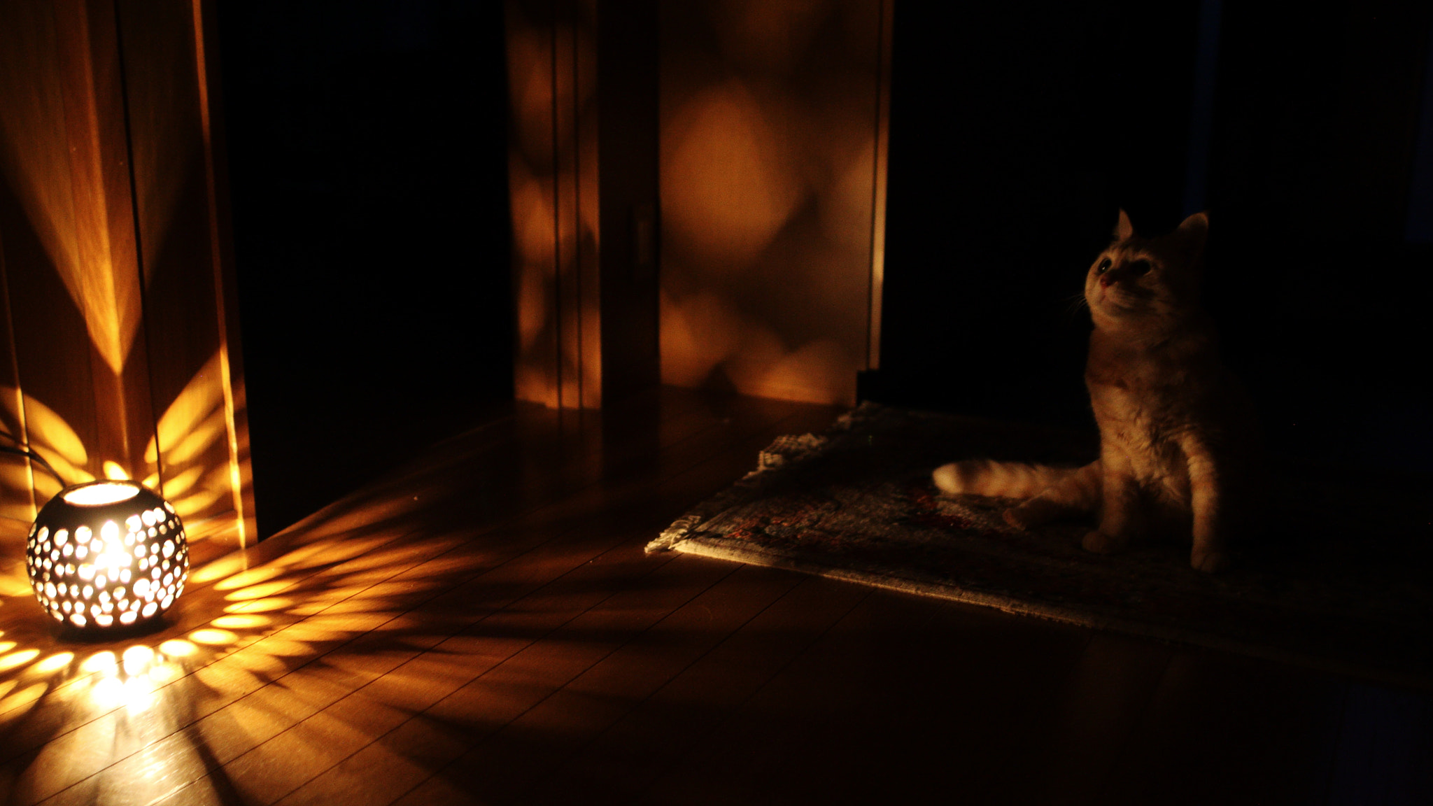 Sigma 28mm f/1.8 DG Macro EX sample photo. Sepia and light of the lamp photography
