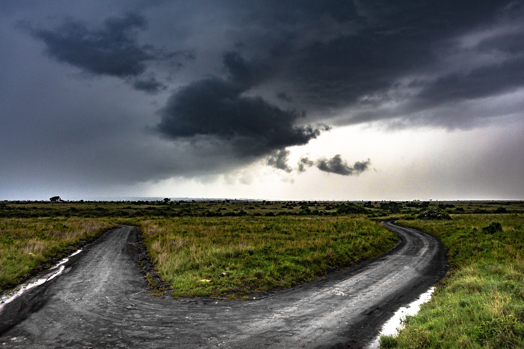 Canon EF-S 18-135mm F3.5-5.6 IS STM sample photo. Nairobi national park photography