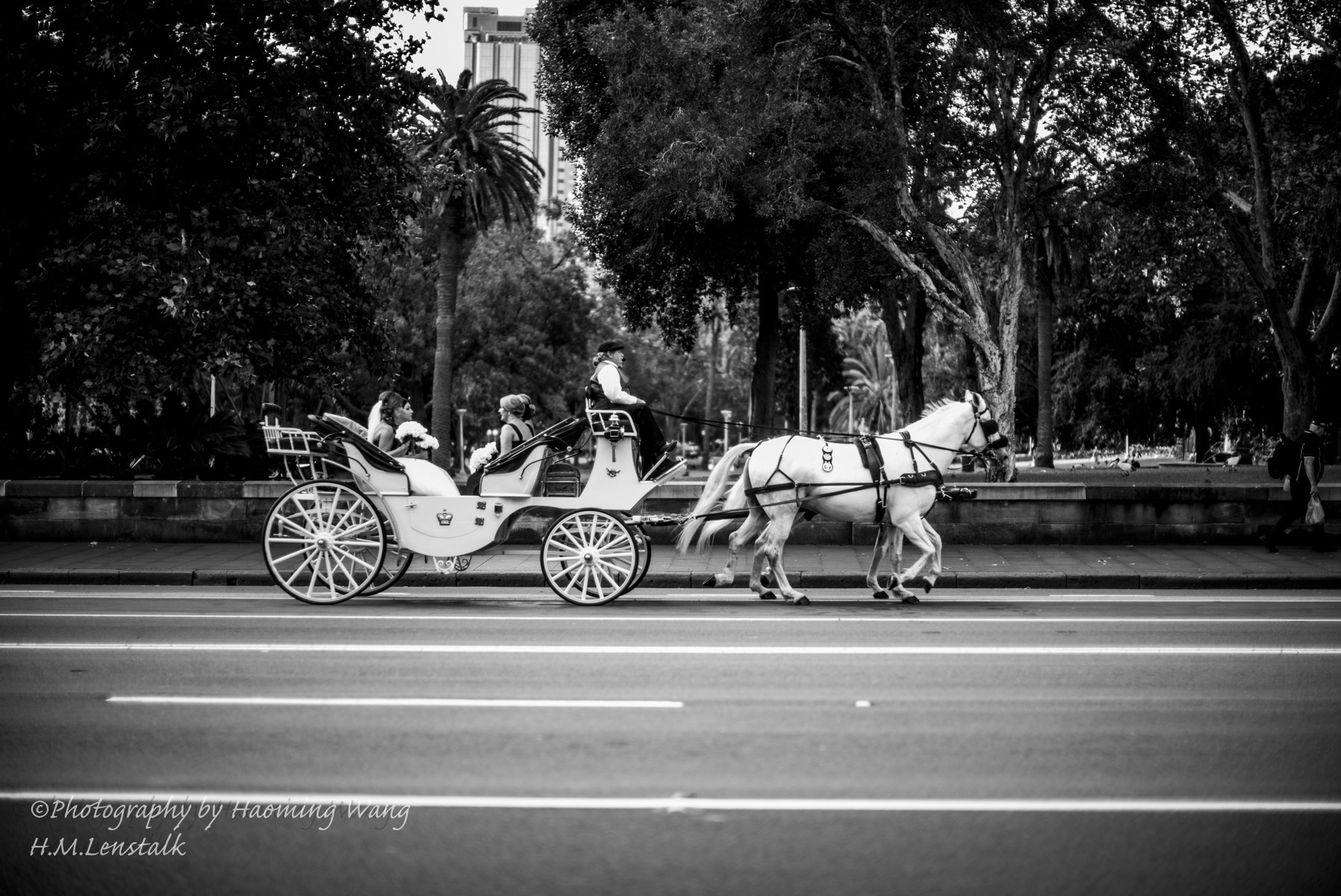 Leica Noctilux-M 50mm F0.95 ASPH sample photo. Mono7214.jpg photography