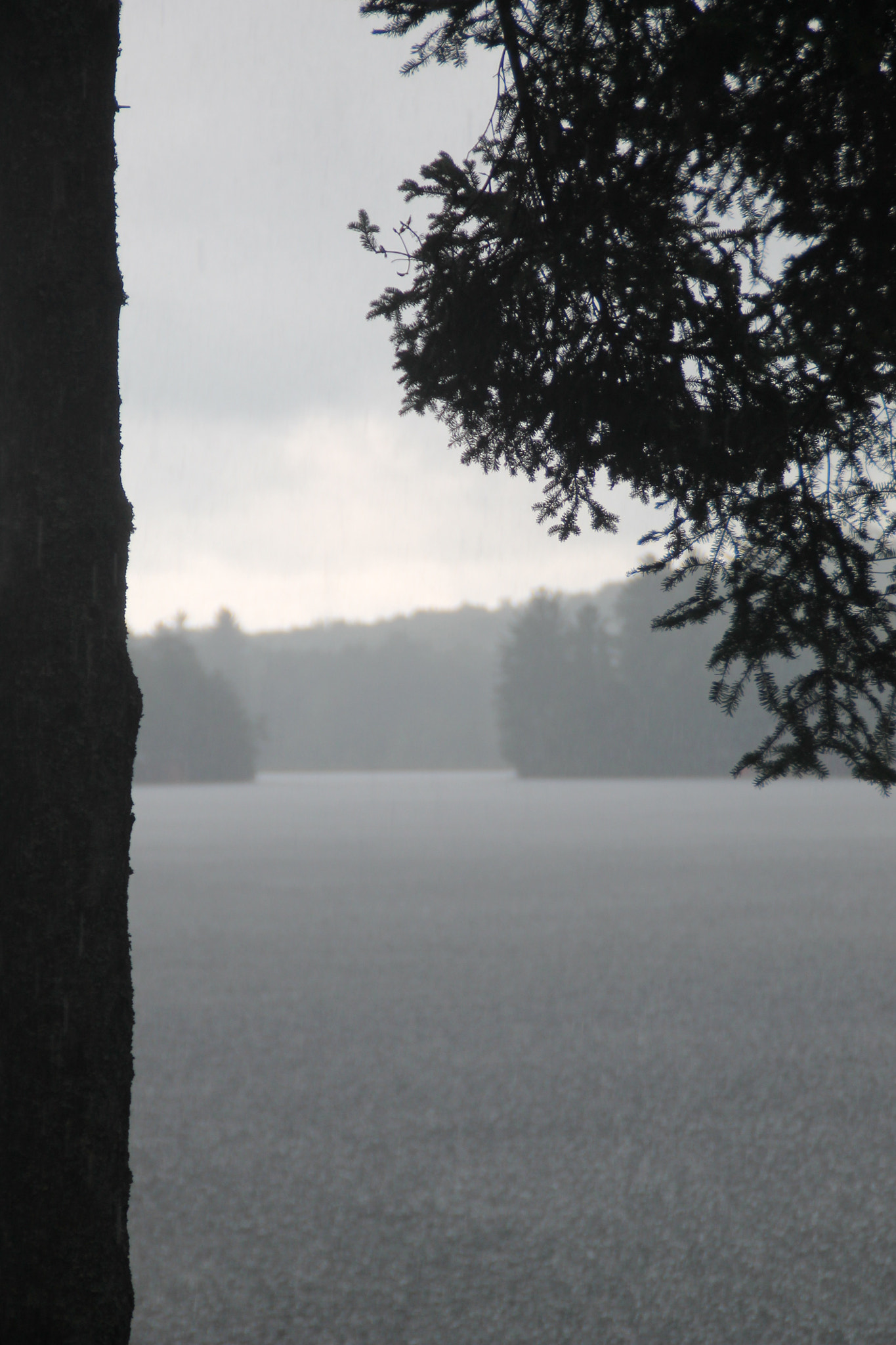 Canon EOS 1100D (EOS Rebel T3 / EOS Kiss X50) sample photo. A storm photography