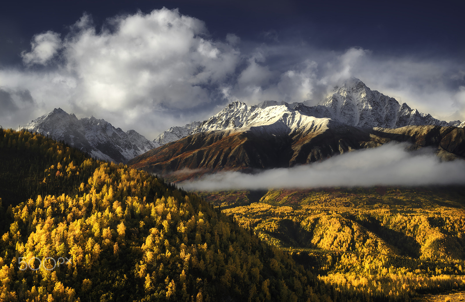 Tamron AF 18-200mm F3.5-6.3 XR Di II LD Aspherical (IF) Macro sample photo. Autumn in the chugach photography