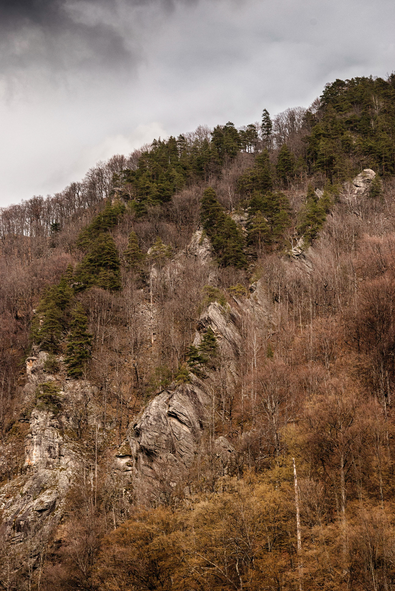 Nikon D80 + Sigma 18-50mm F2.8 EX DC Macro sample photo. Retezat hdr () photography