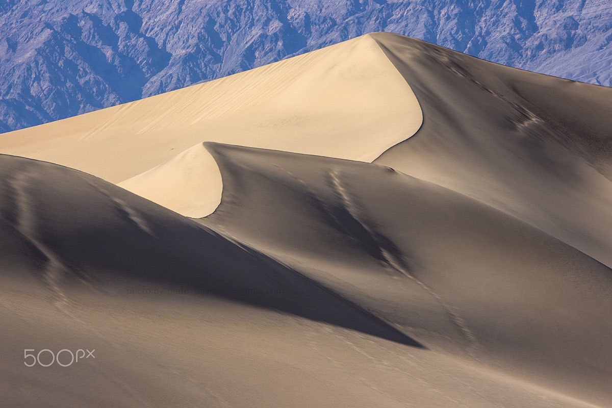 Canon EF 70-200mm F2.8L IS USM sample photo. Dunes photography
