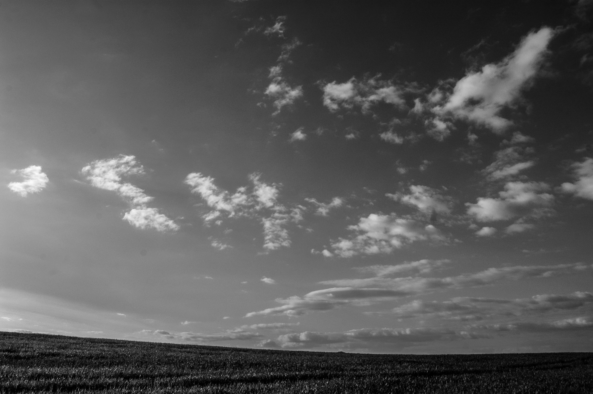 Nikon D70 sample photo. //random view 2 photography