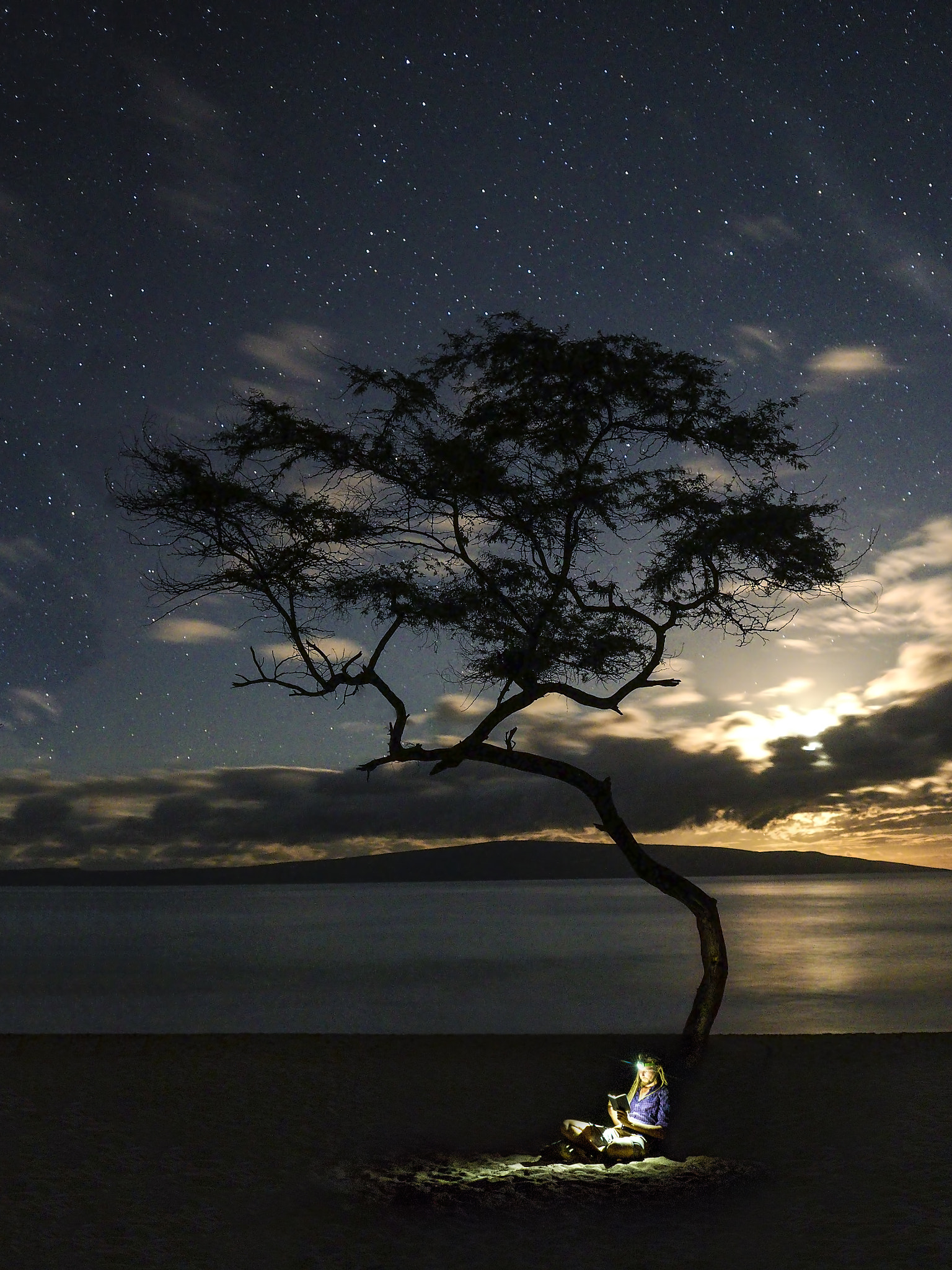 Olympus OM-D E-M10 + Olympus M.Zuiko Digital 17mm F2.8 Pancake sample photo. Moonlight shakespeare photography