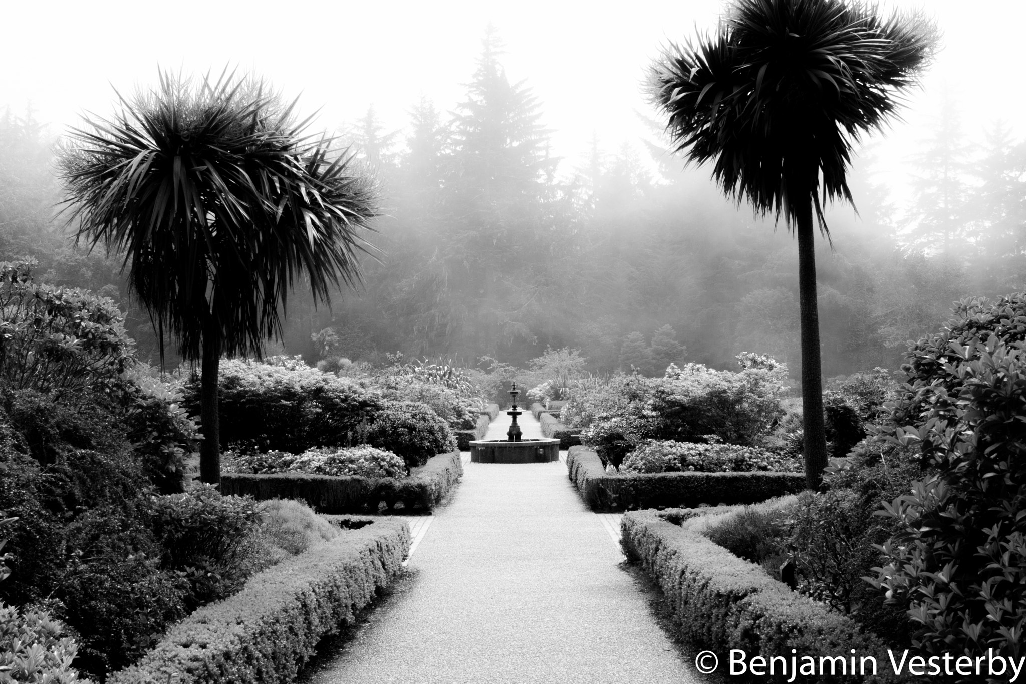 Canon EF 28-105mm f/3.5-4.5 USM sample photo. Into the garden photography