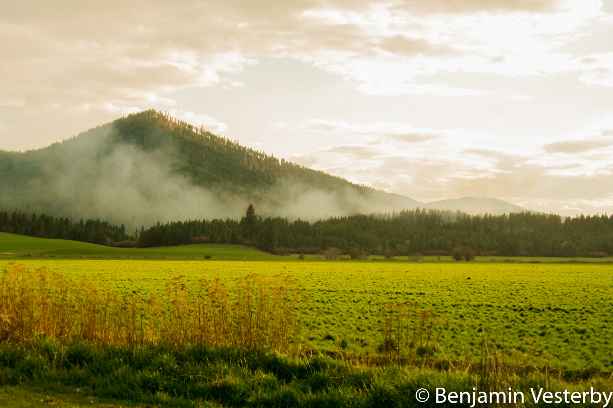 Canon EF 28-105mm f/3.5-4.5 USM sample photo. The field photography