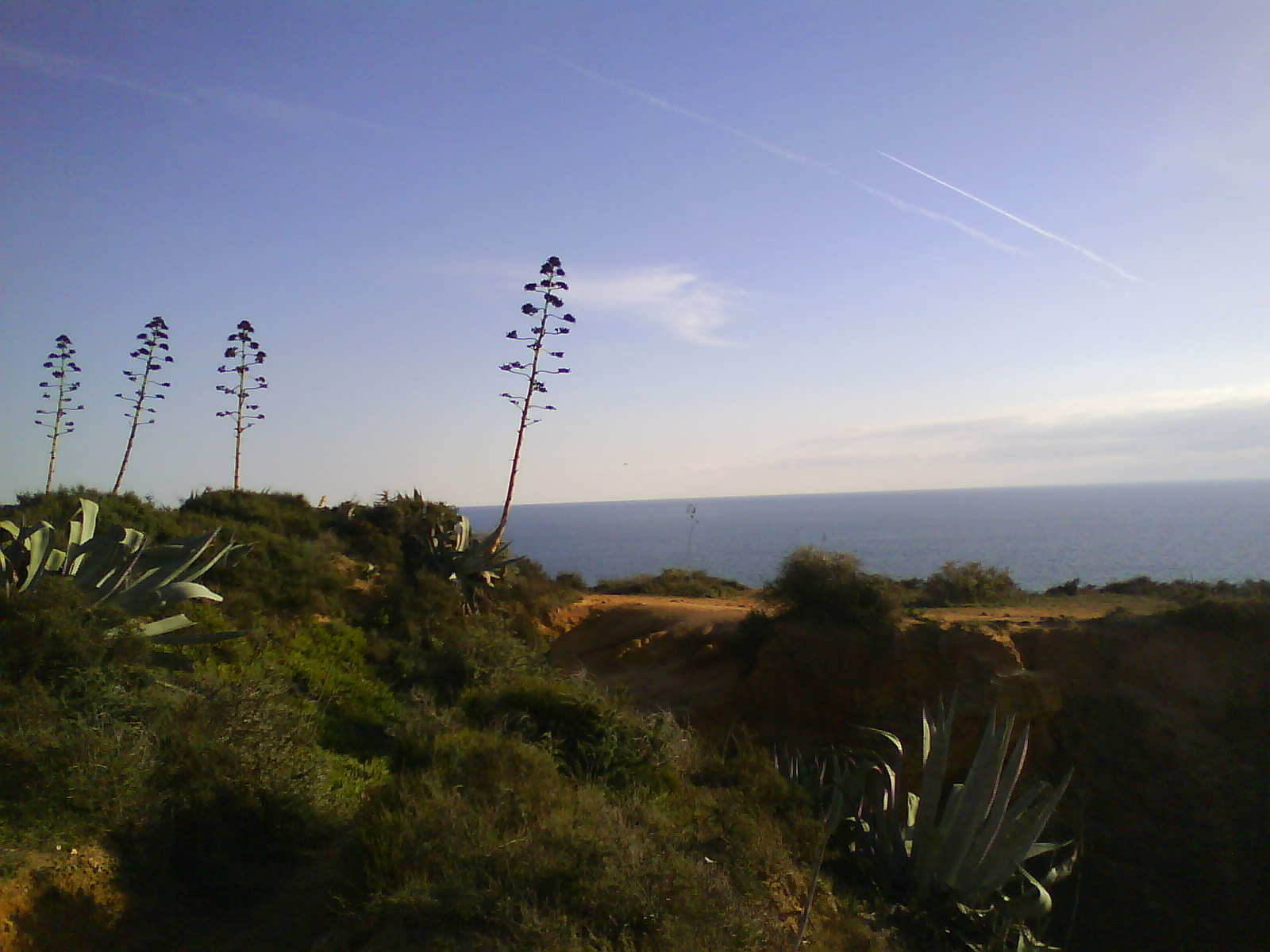 Sony Ericsson W910i sample photo. Nascer do sol .. portugal photography