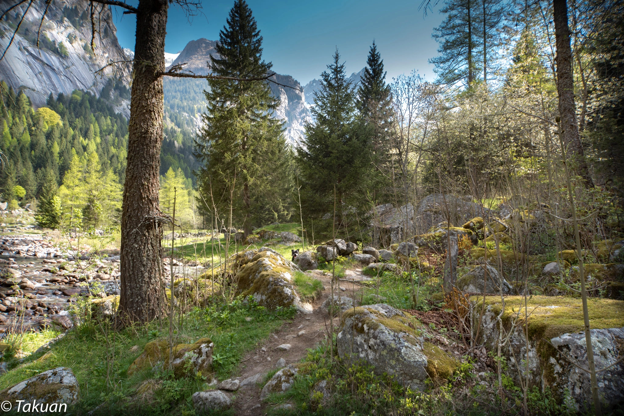Sigma 12-24mm F4.5-5.6 EX DG Aspherical HSM sample photo. Spot the intruder photography