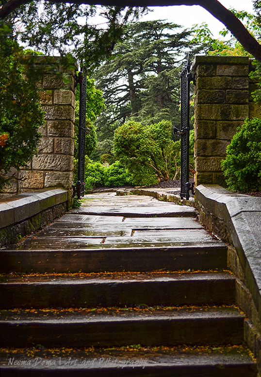 AF Zoom-Nikkor 35-70mm f/3.3-4.5 N sample photo. Rainy day photography