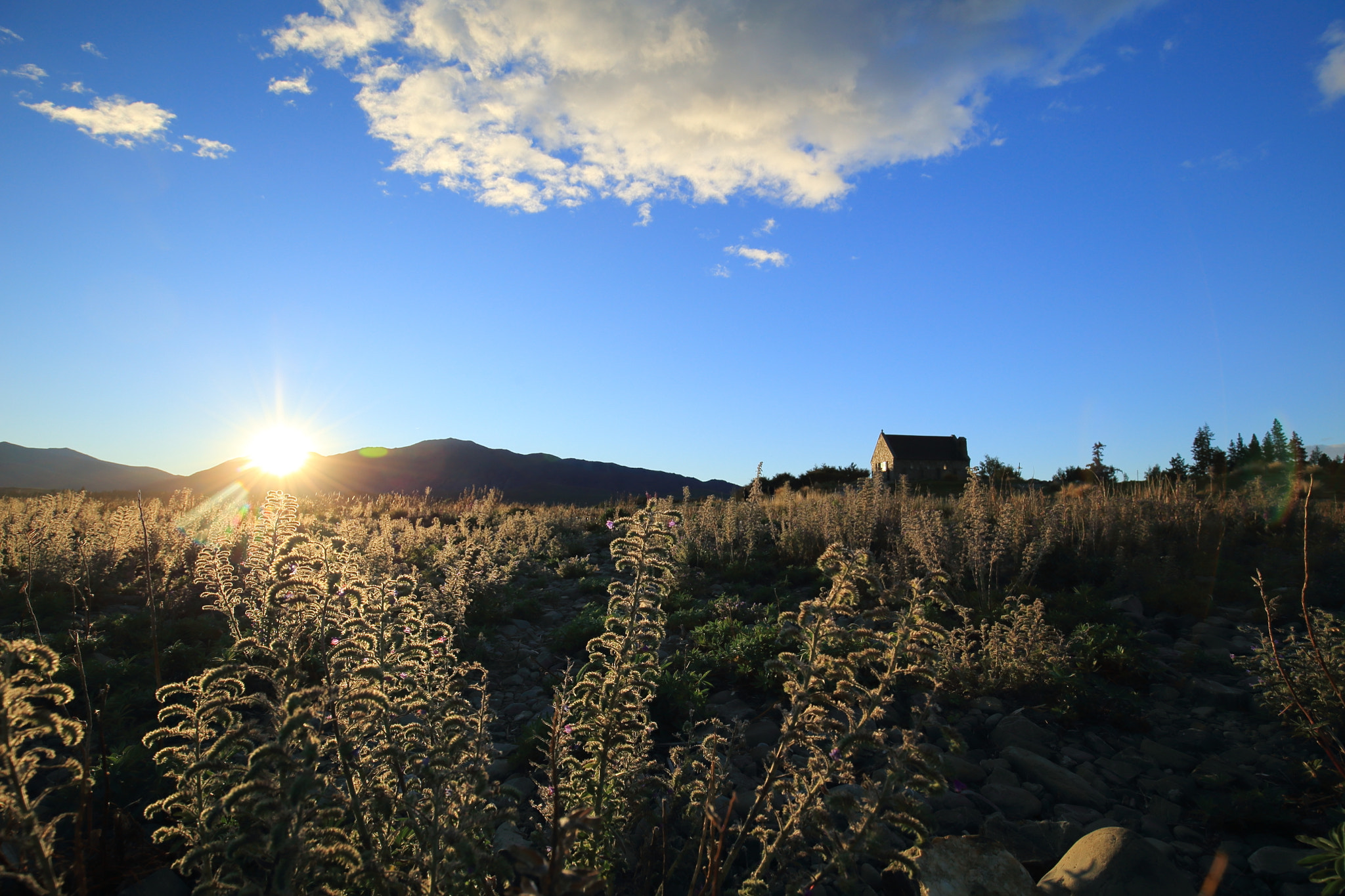 v2?sig=6e513d3d6e09b9b3d3337b3b6bac6f6dd054e21f19a467fab64e2008d4eca198